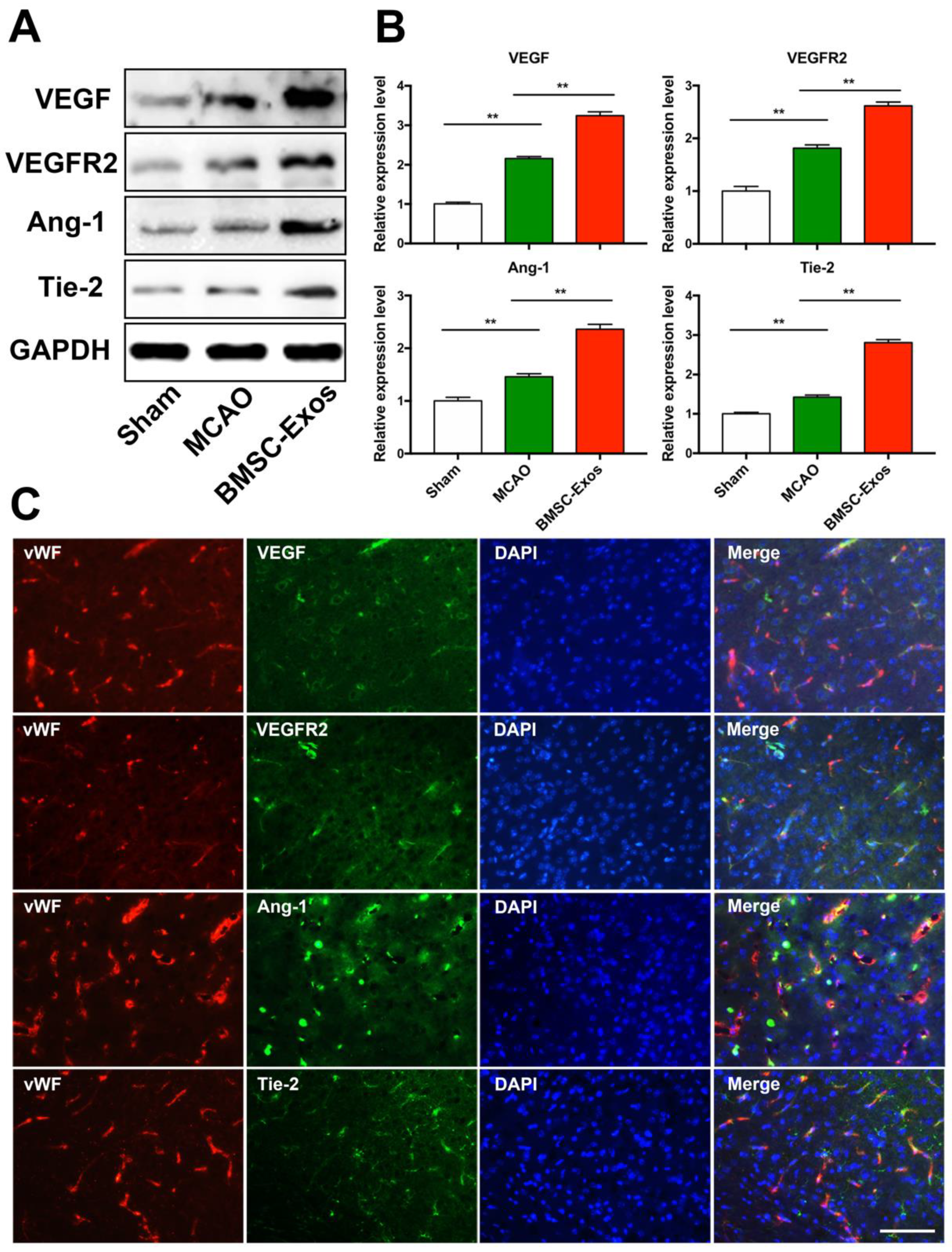 Biomolecules 12 00883 g005