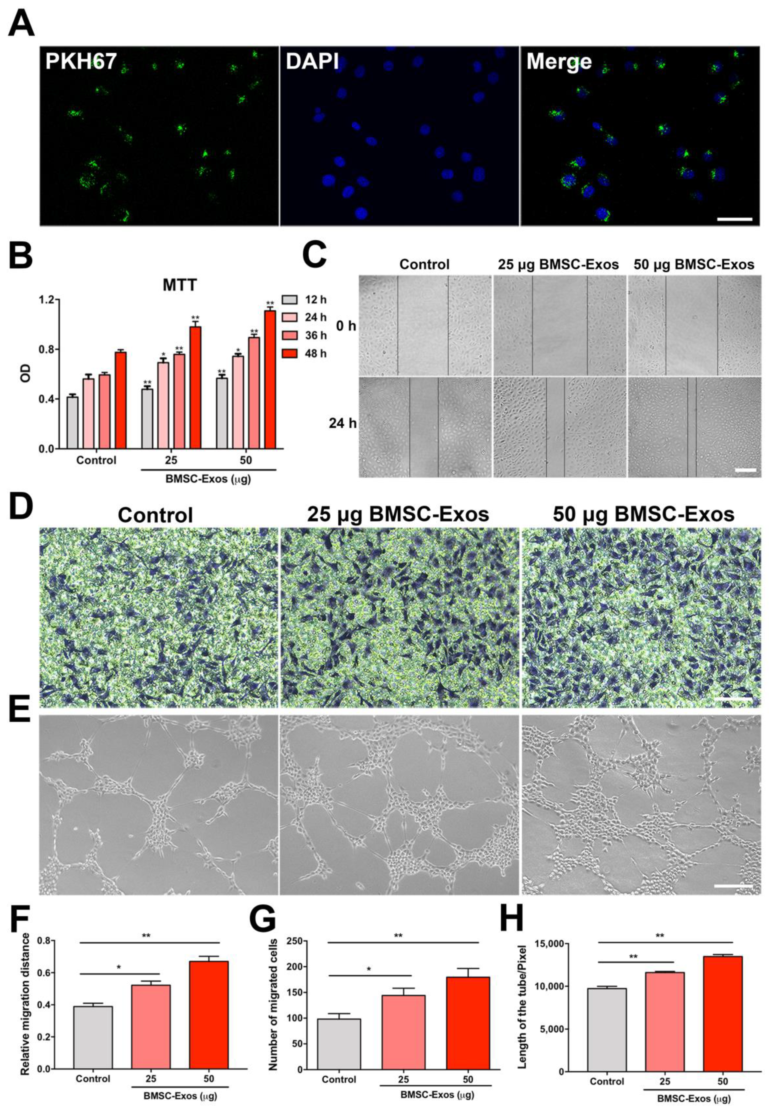 Biomolecules 12 00883 g007