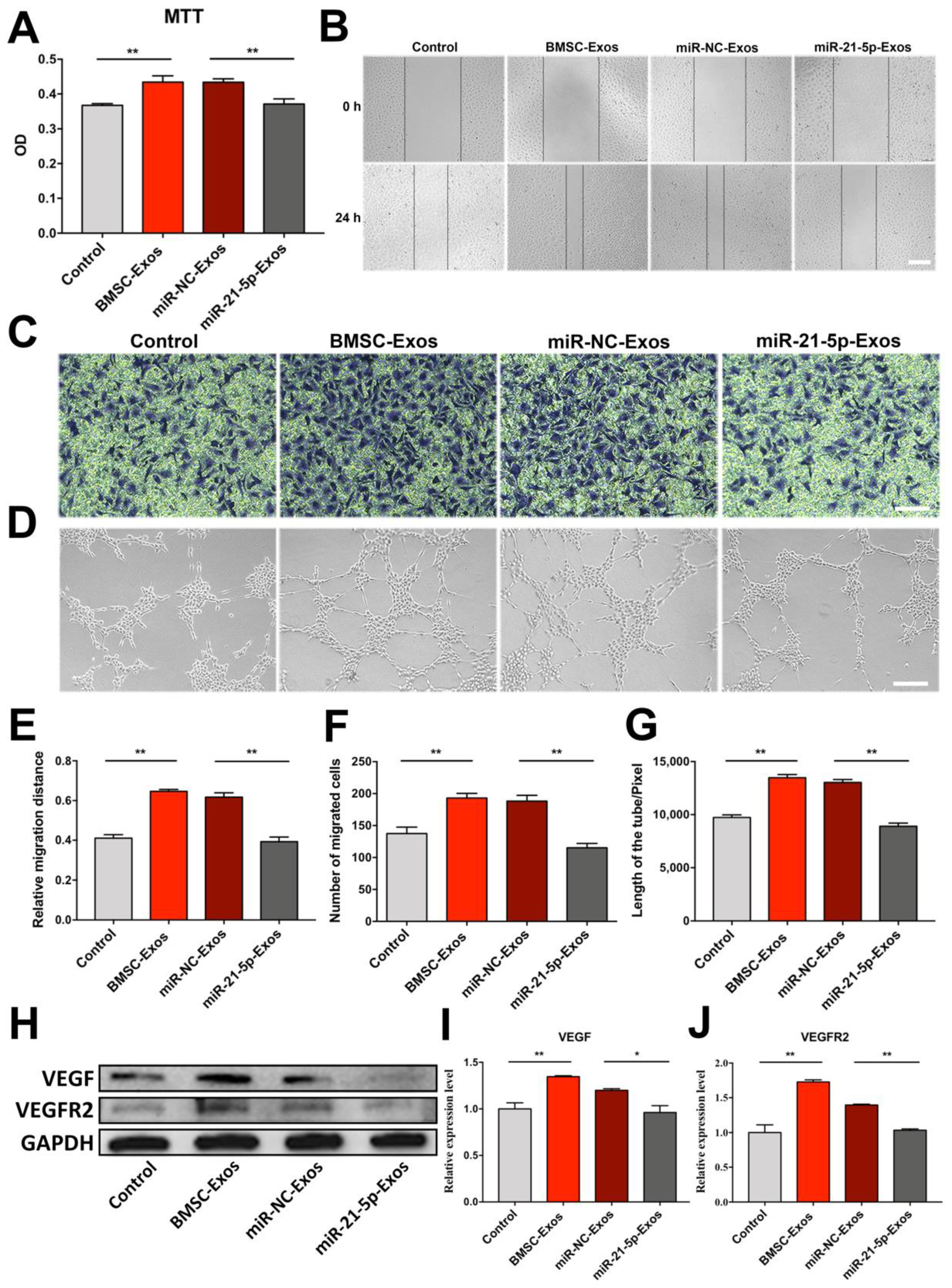 Biomolecules 12 00883 g009