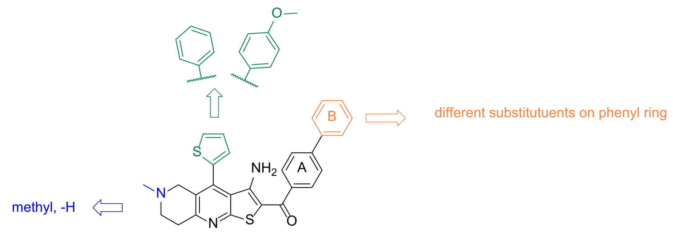 Biomolecules 12 00884 g006 Biomolecules 12 00884 g006
