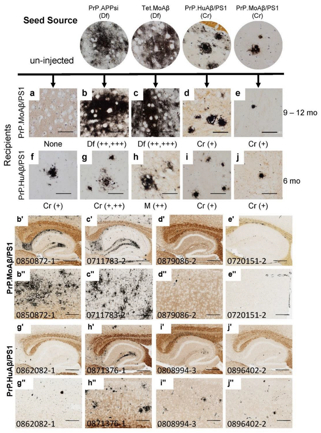 Biomolecules 12 00886 g001 550