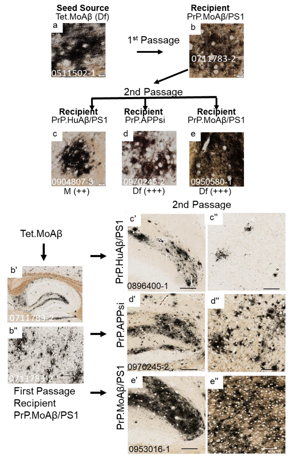 Biomolecules 12 00886 g003 550