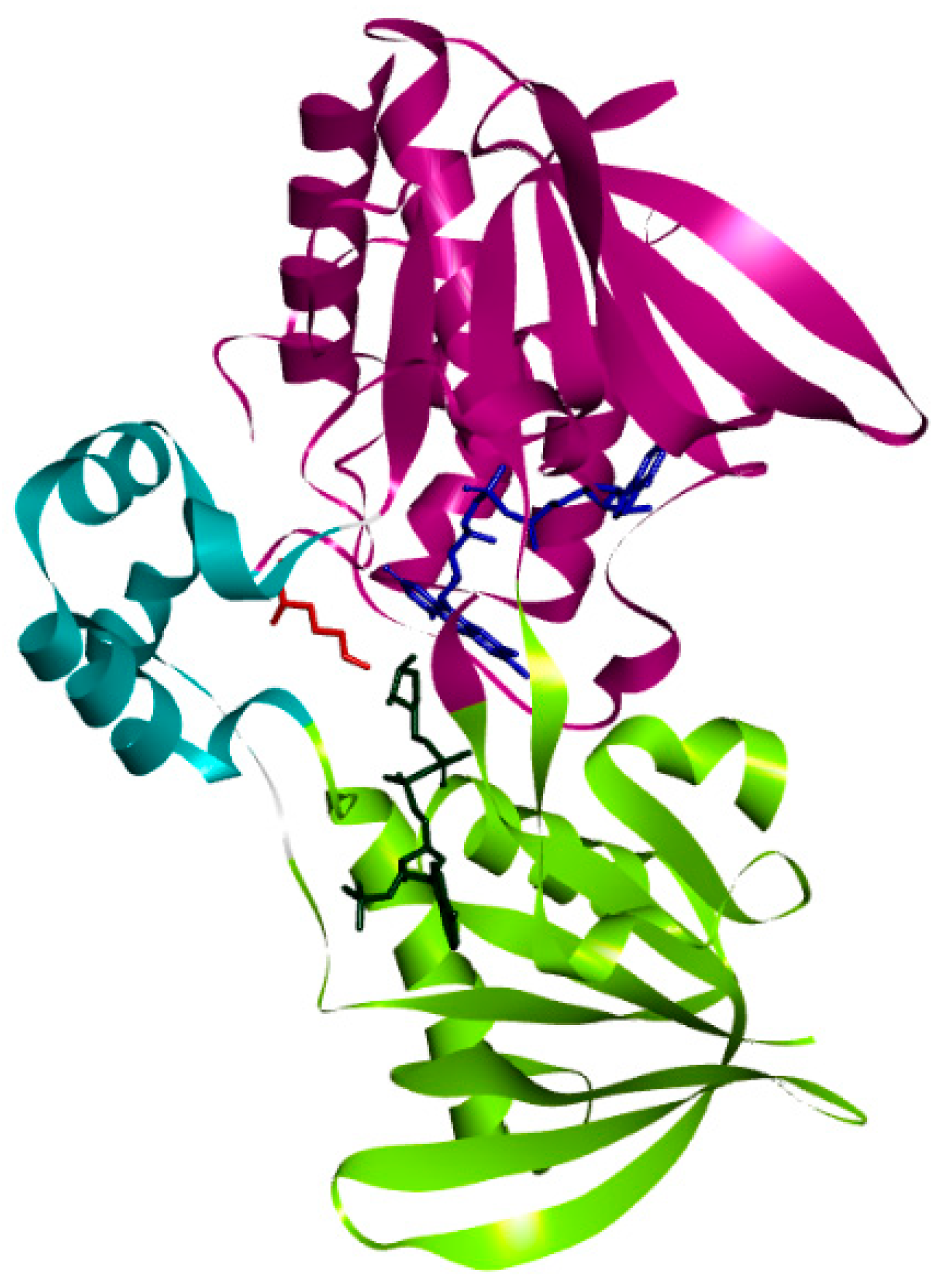 Biomolecules 12 00887 g001