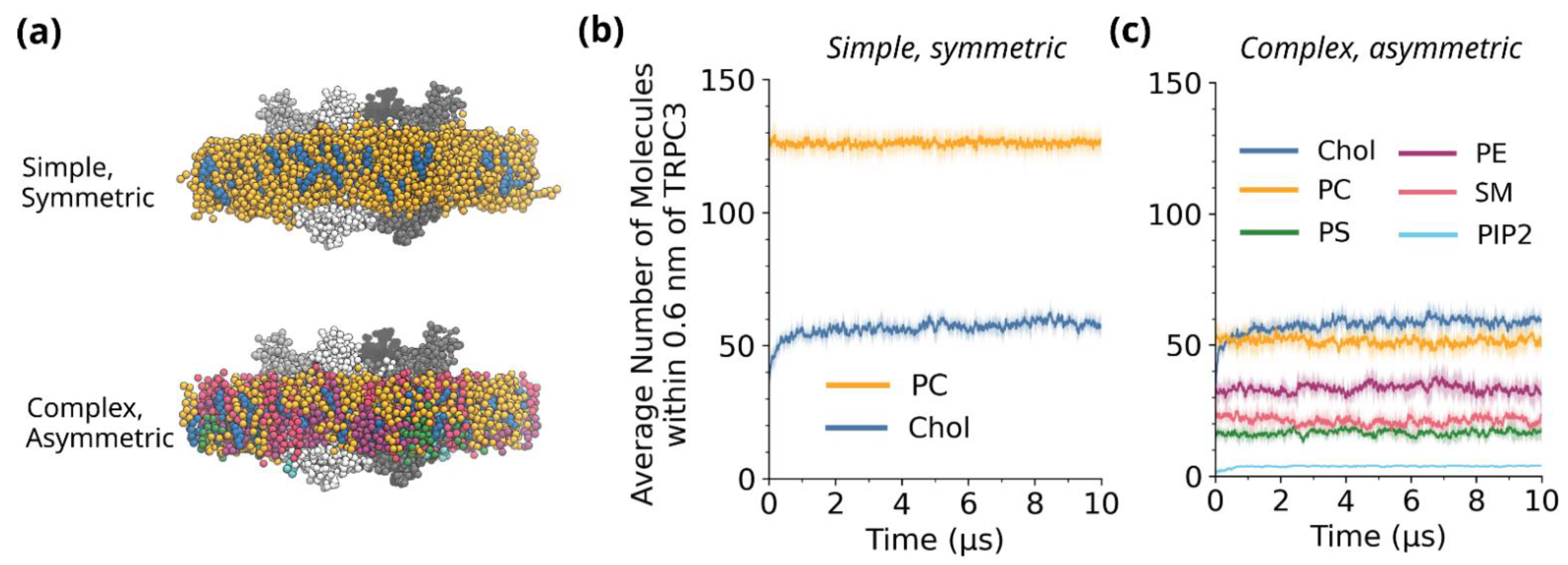 Biomolecules 12 00890 g001 Biomolecules 12 00890 g001