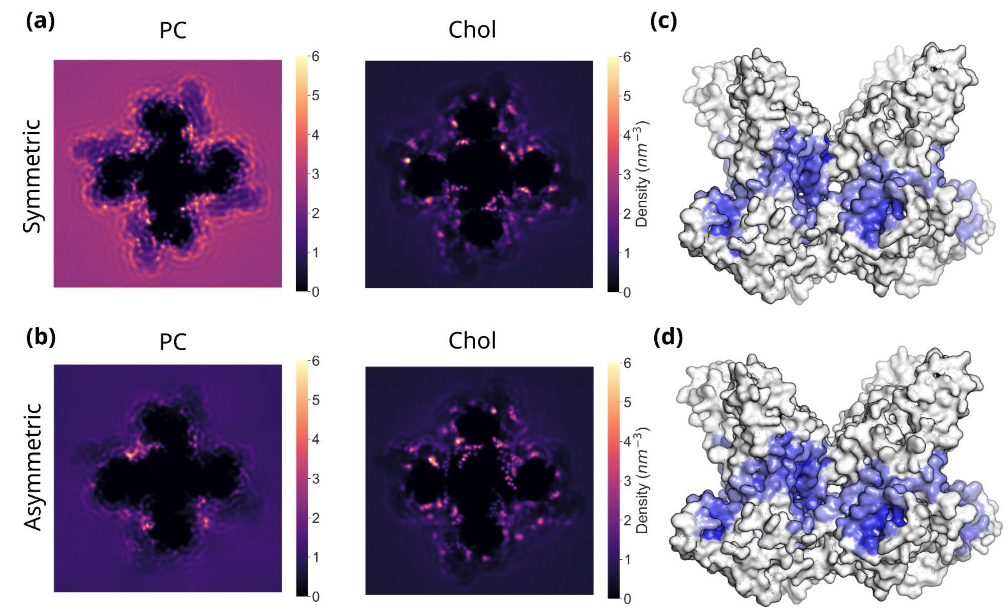 Biomolecules 12 00890 g002 Biomolecules 12 00890 g002