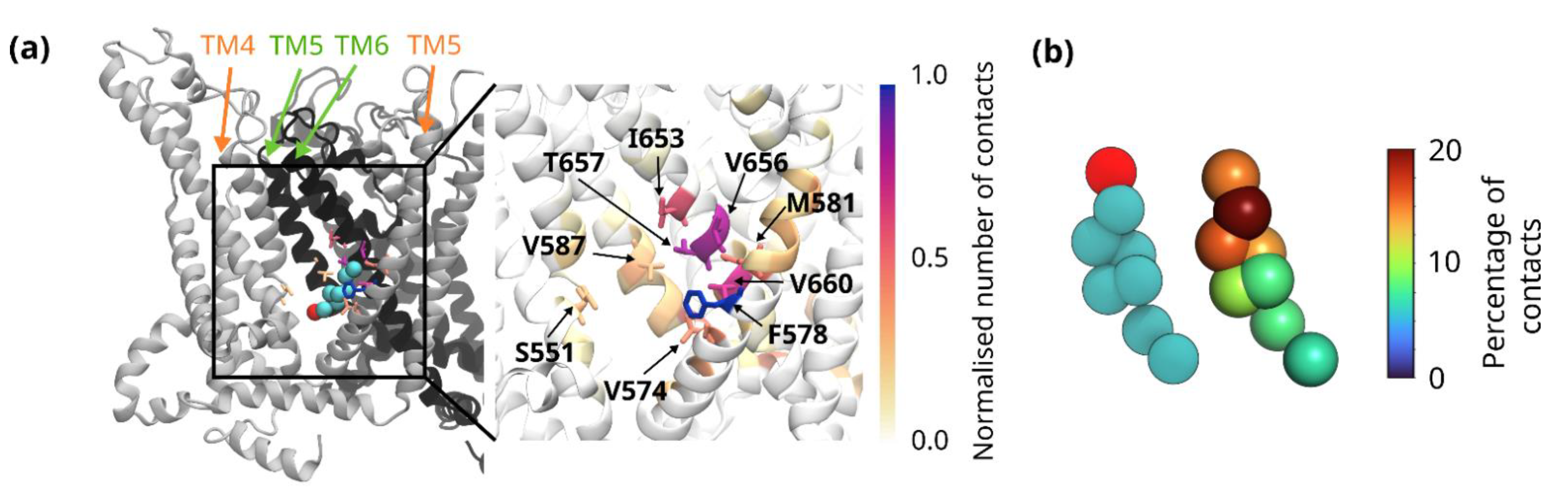 Biomolecules 12 00890 g004 Biomolecules 12 00890 g004