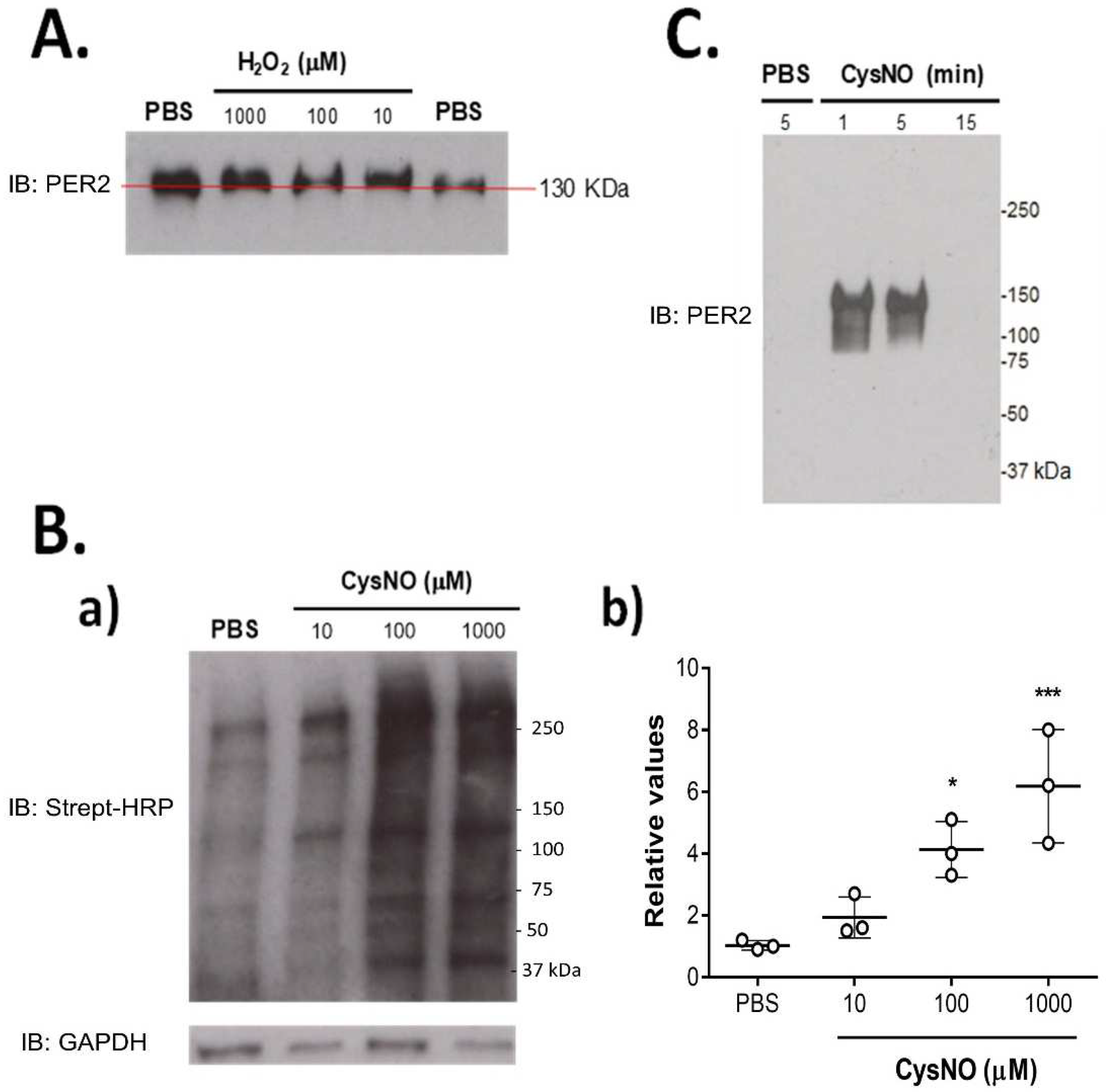 Biomolecules 12 00892 g001 Biomolecules 12 00892 g001