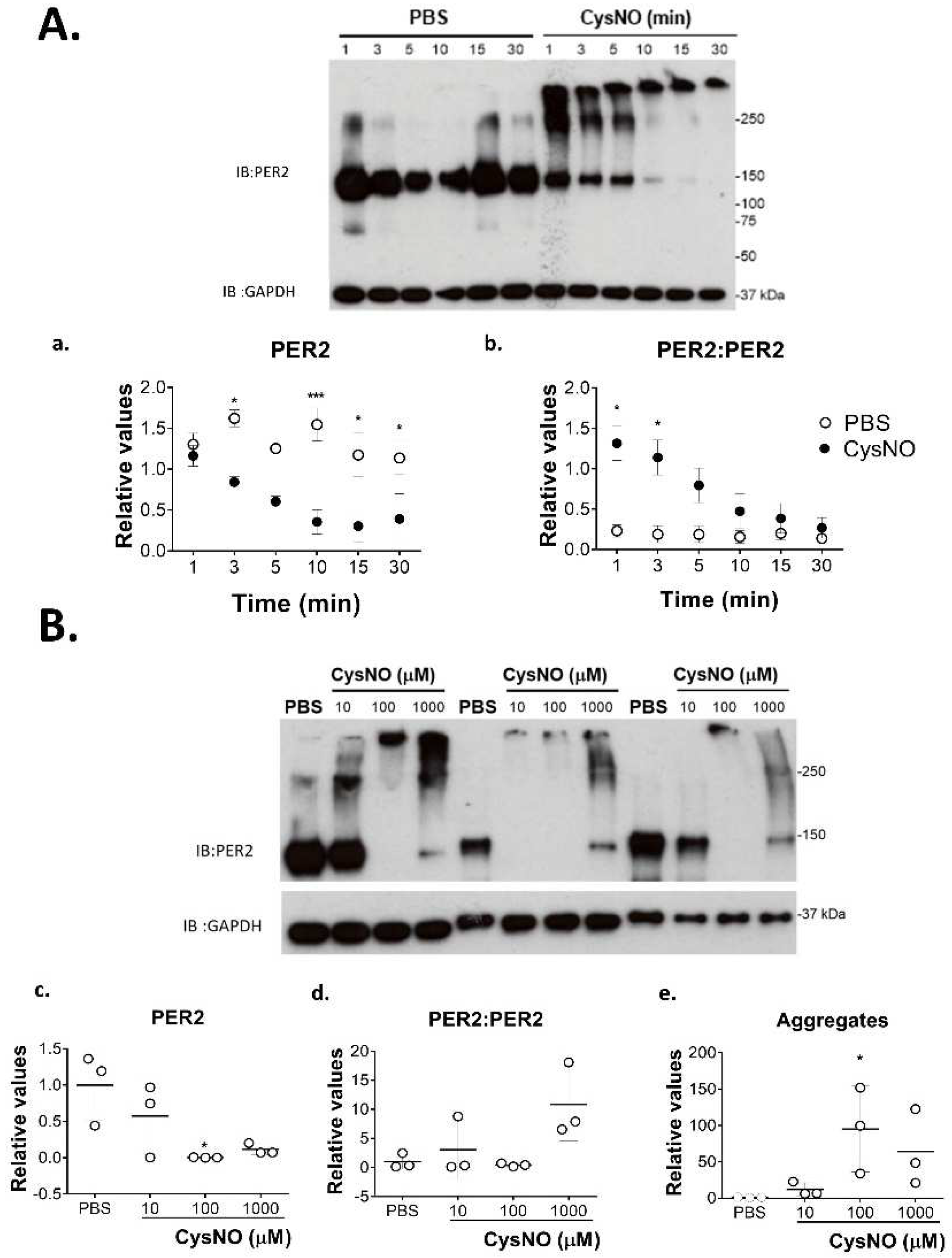 Biomolecules 12 00892 g002 Biomolecules 12 00892 g002