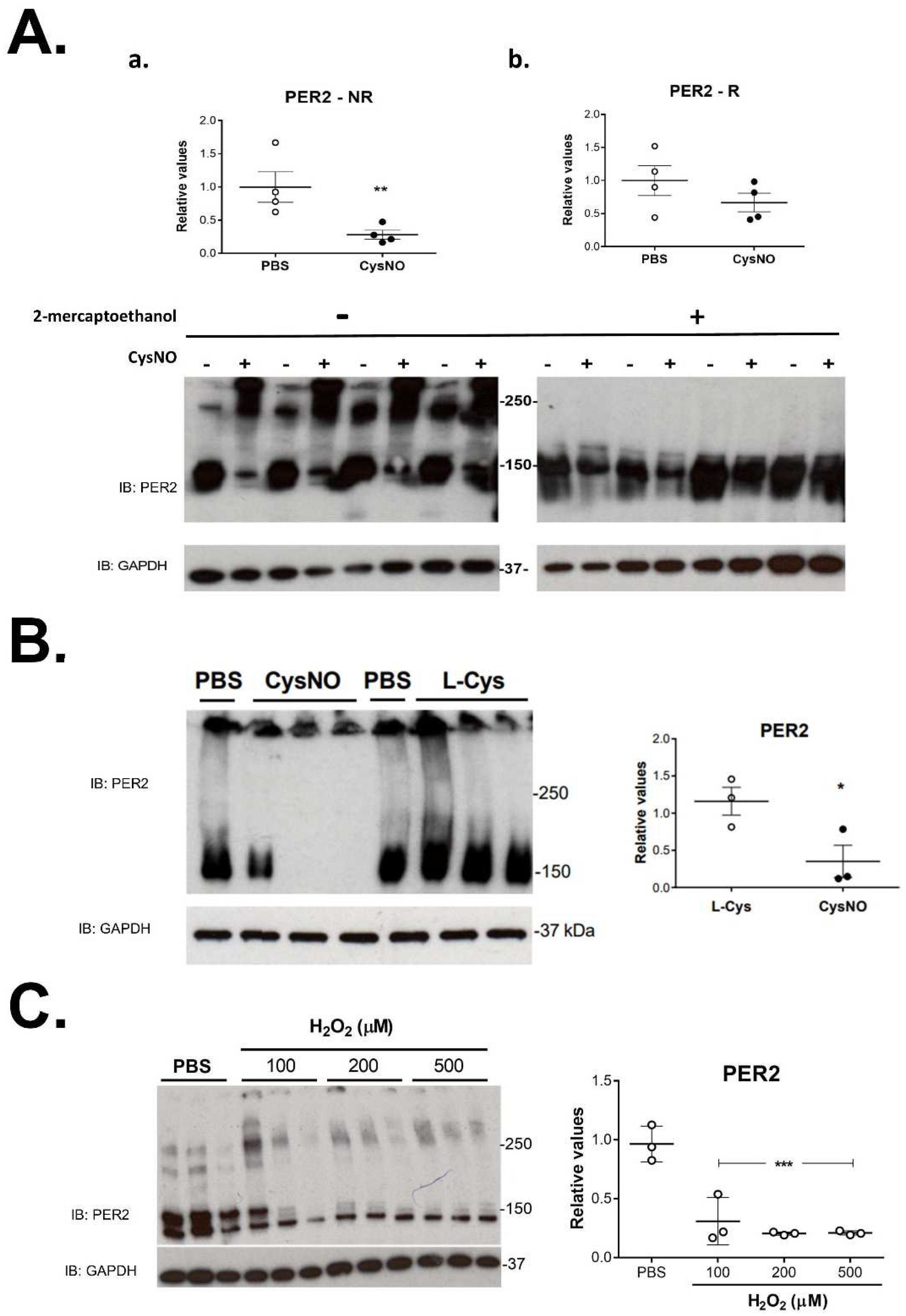 Biomolecules 12 00892 g003 Biomolecules 12 00892 g003