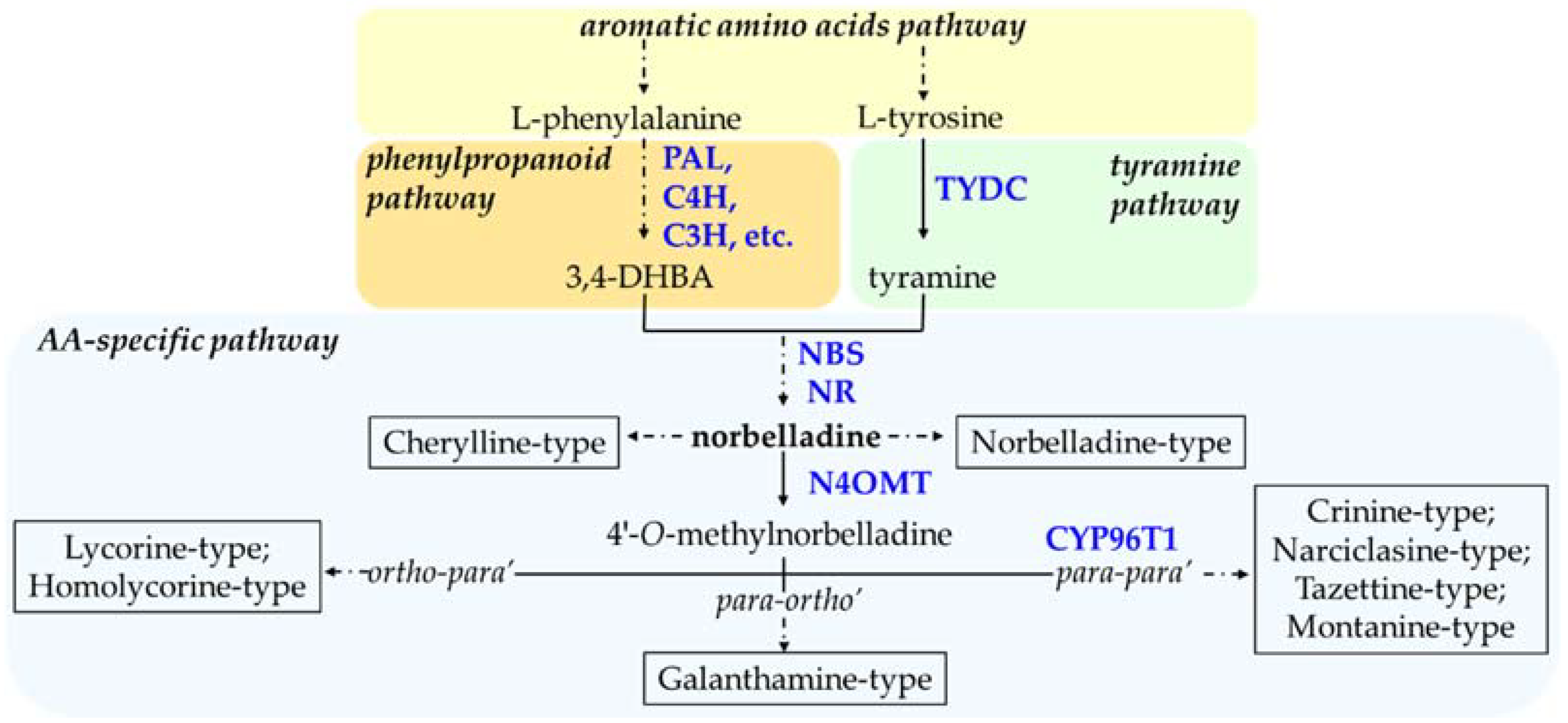 Biomolecules 12 00893 g002