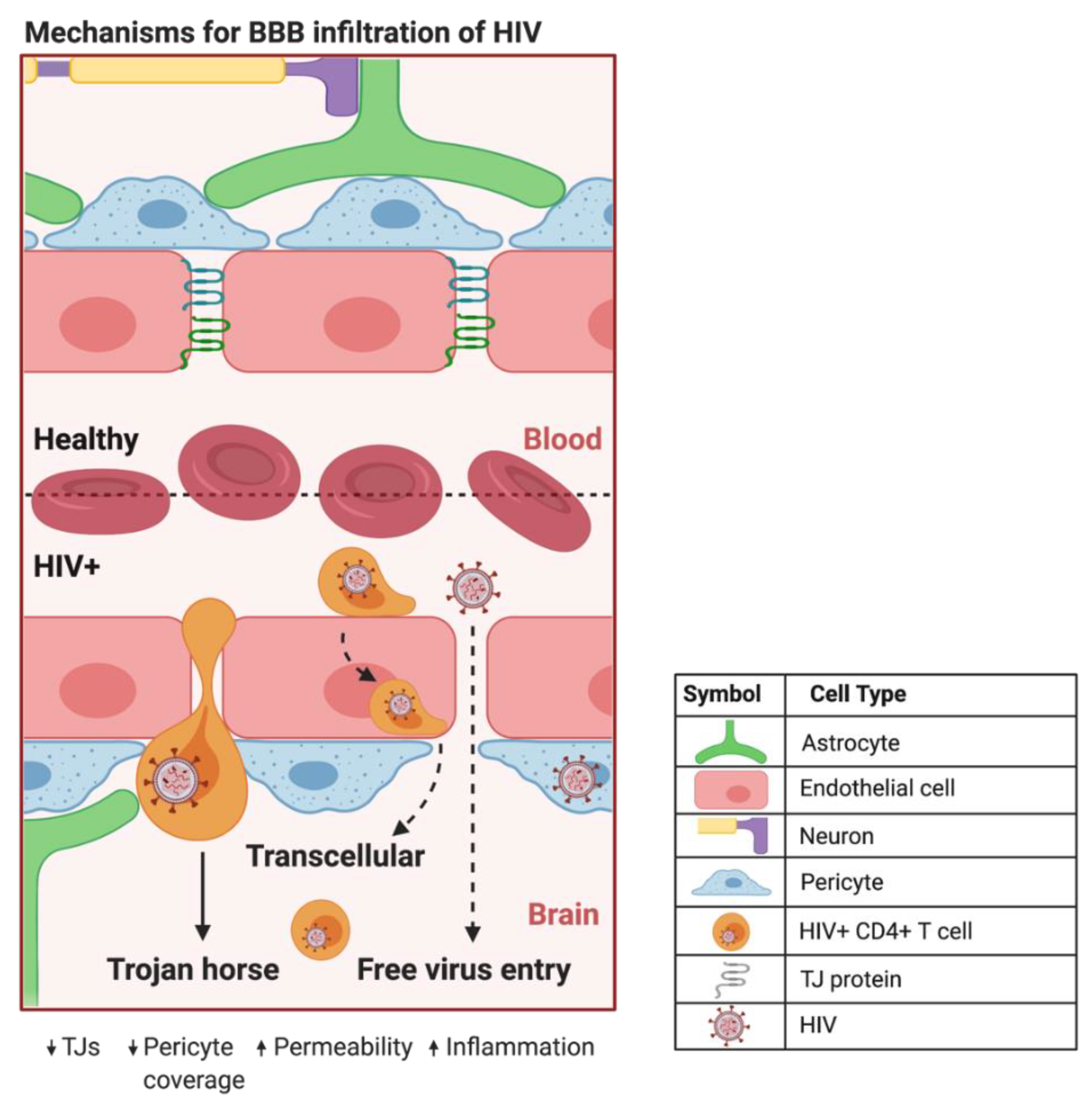 Biomolecules 12 00894 g002