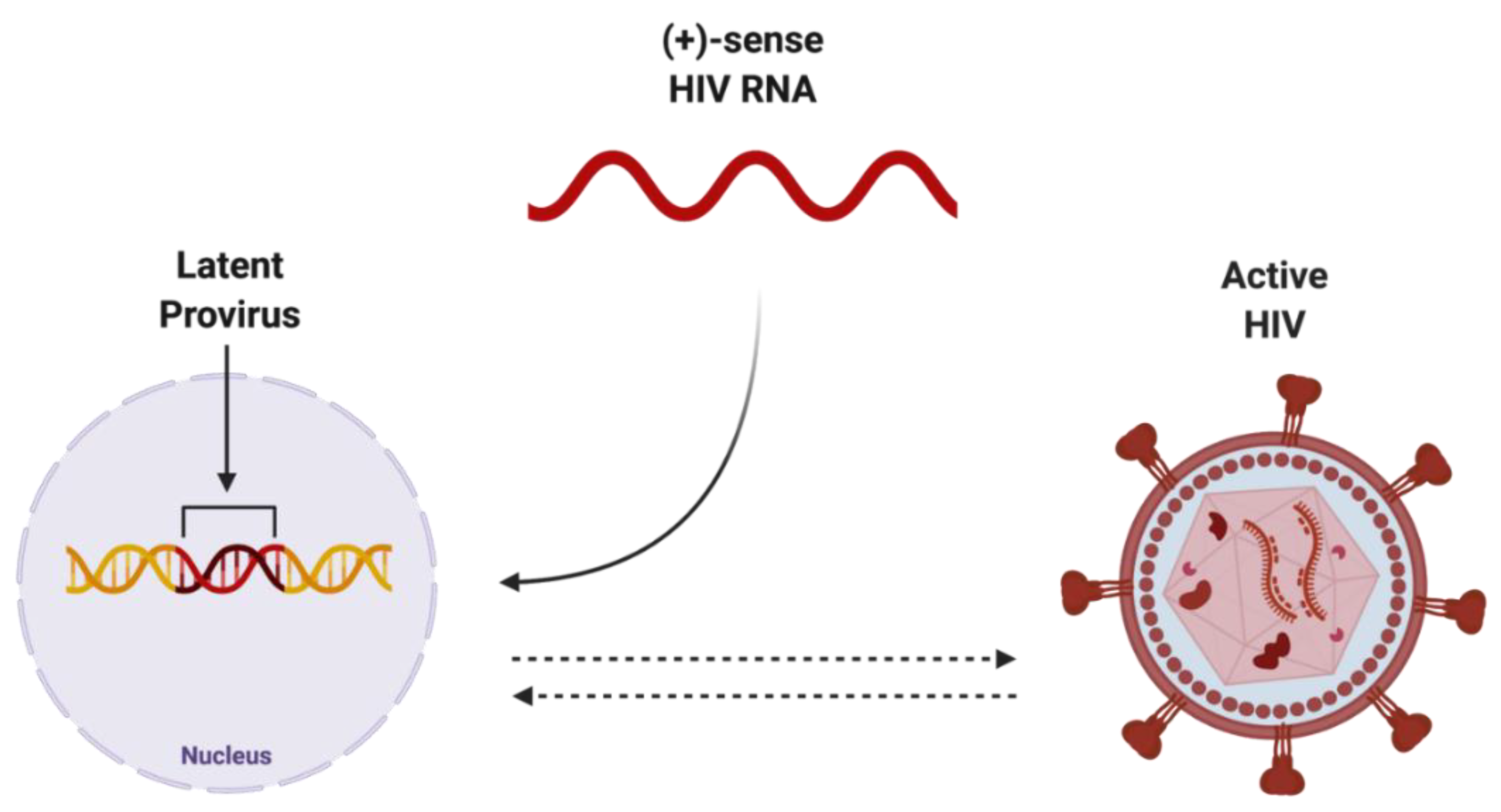Biomolecules 12 00894 g003