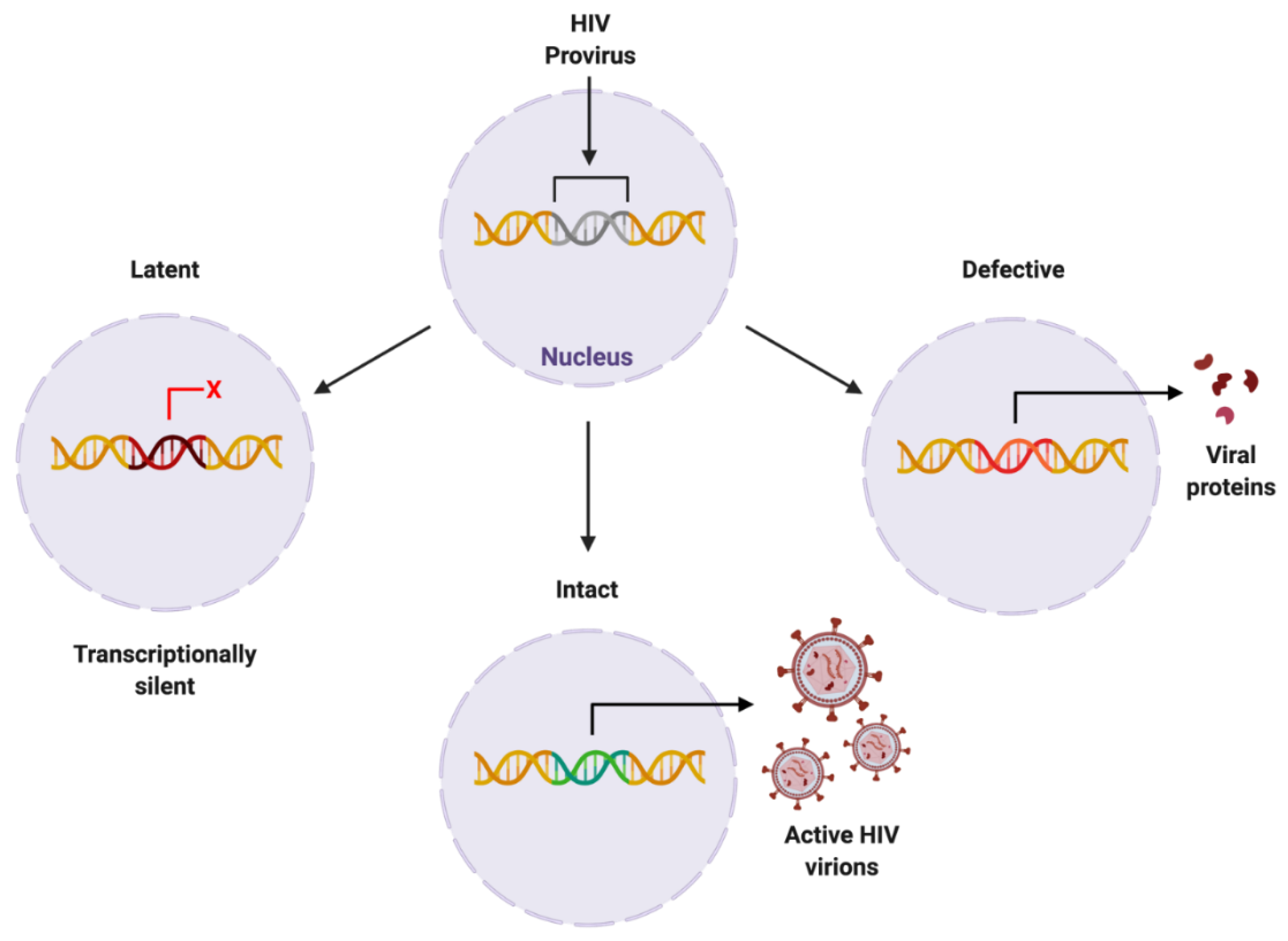 Biomolecules 12 00894 g004