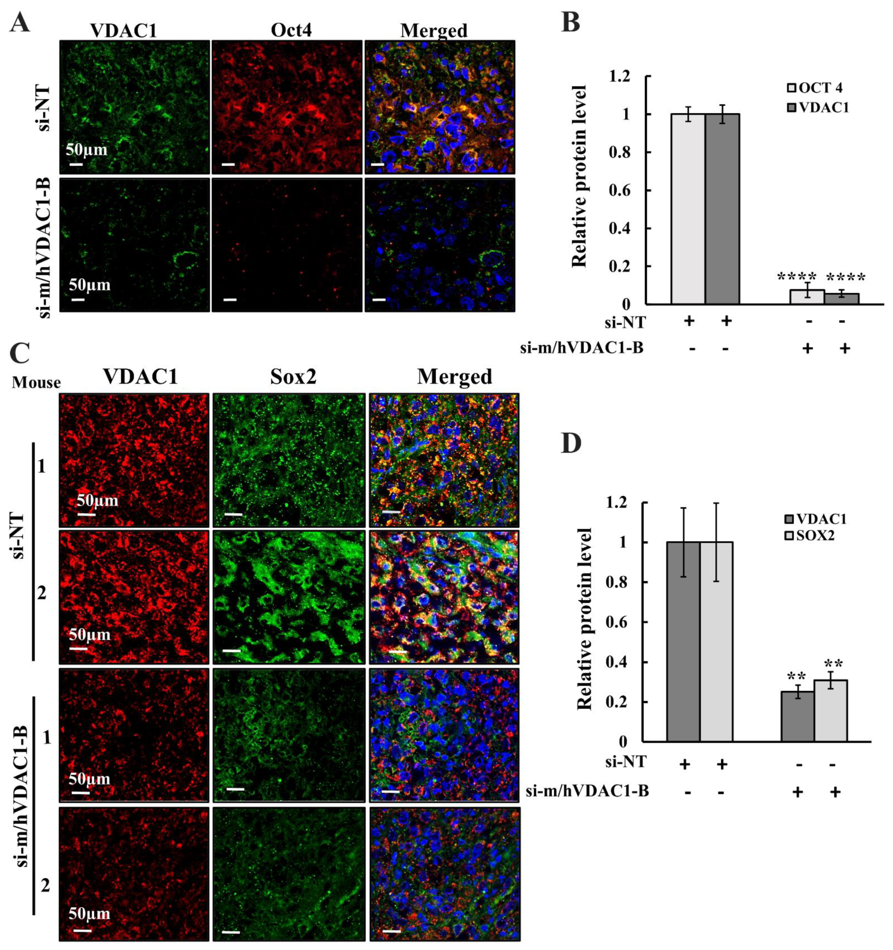Biomolecules 12 00895 g008