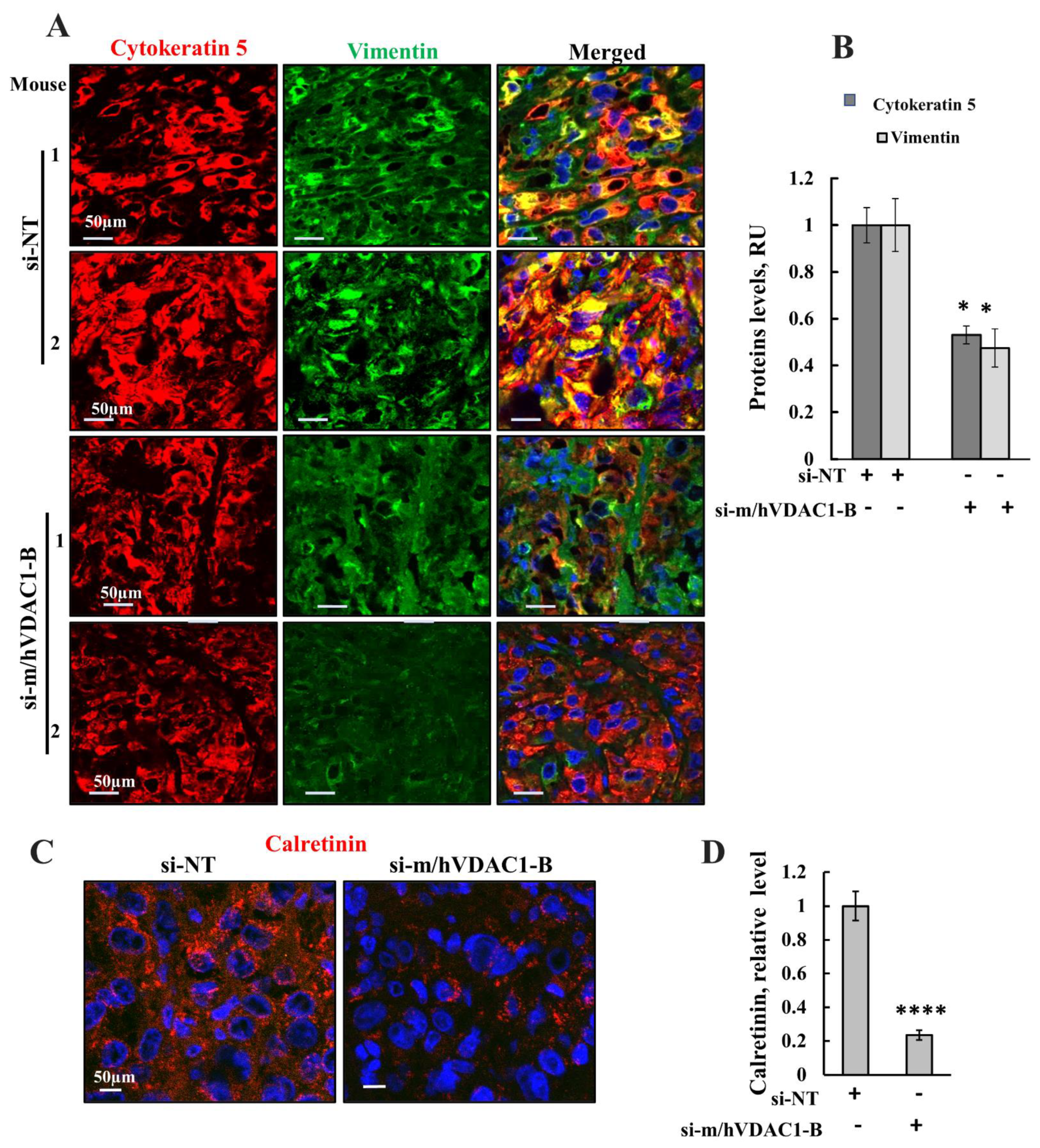Biomolecules 12 00895 g009
