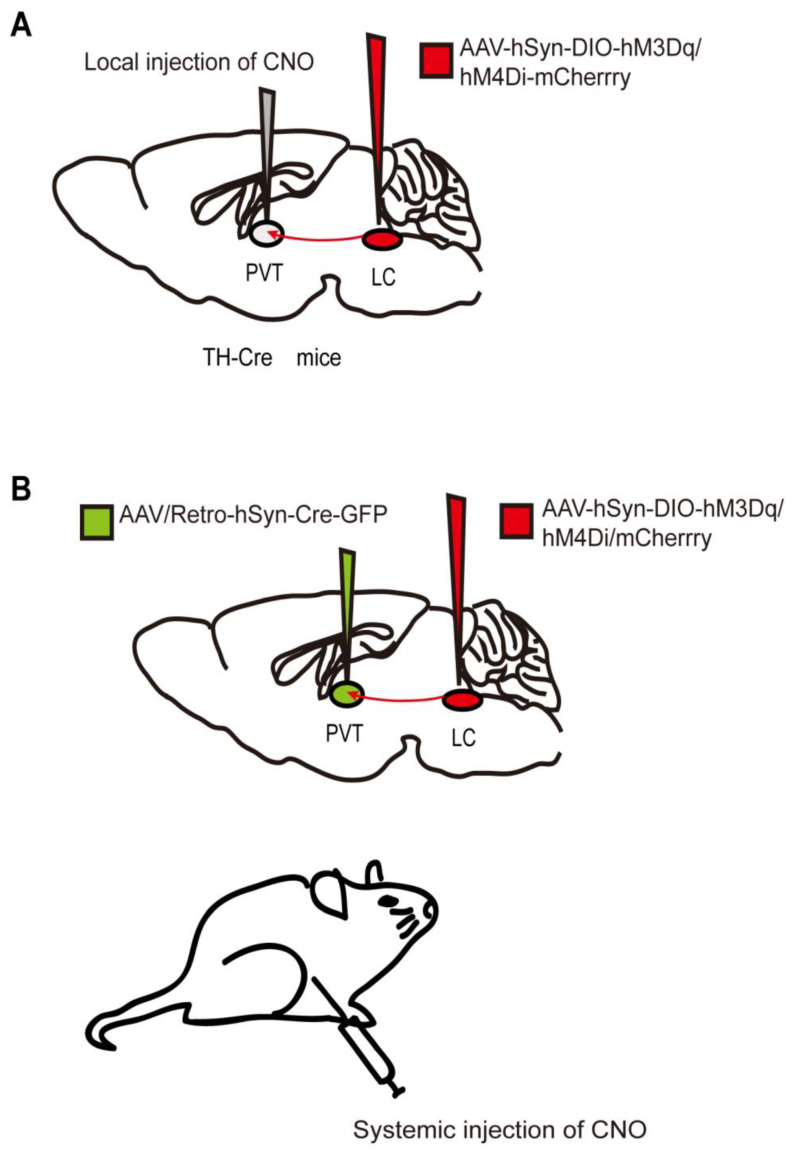 Biomolecules 12 00898 g002 550