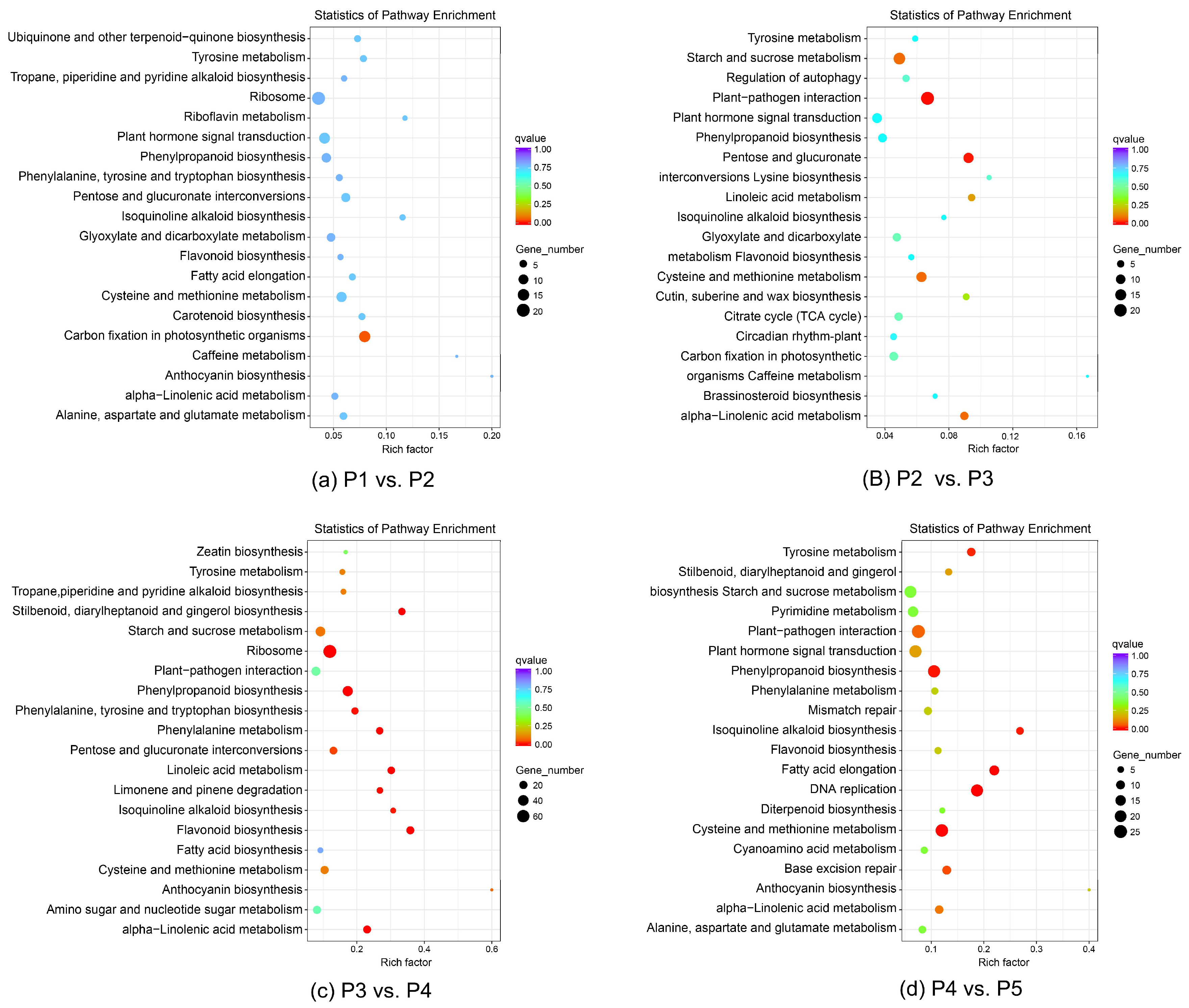 Biomolecules 12 00899 g004
