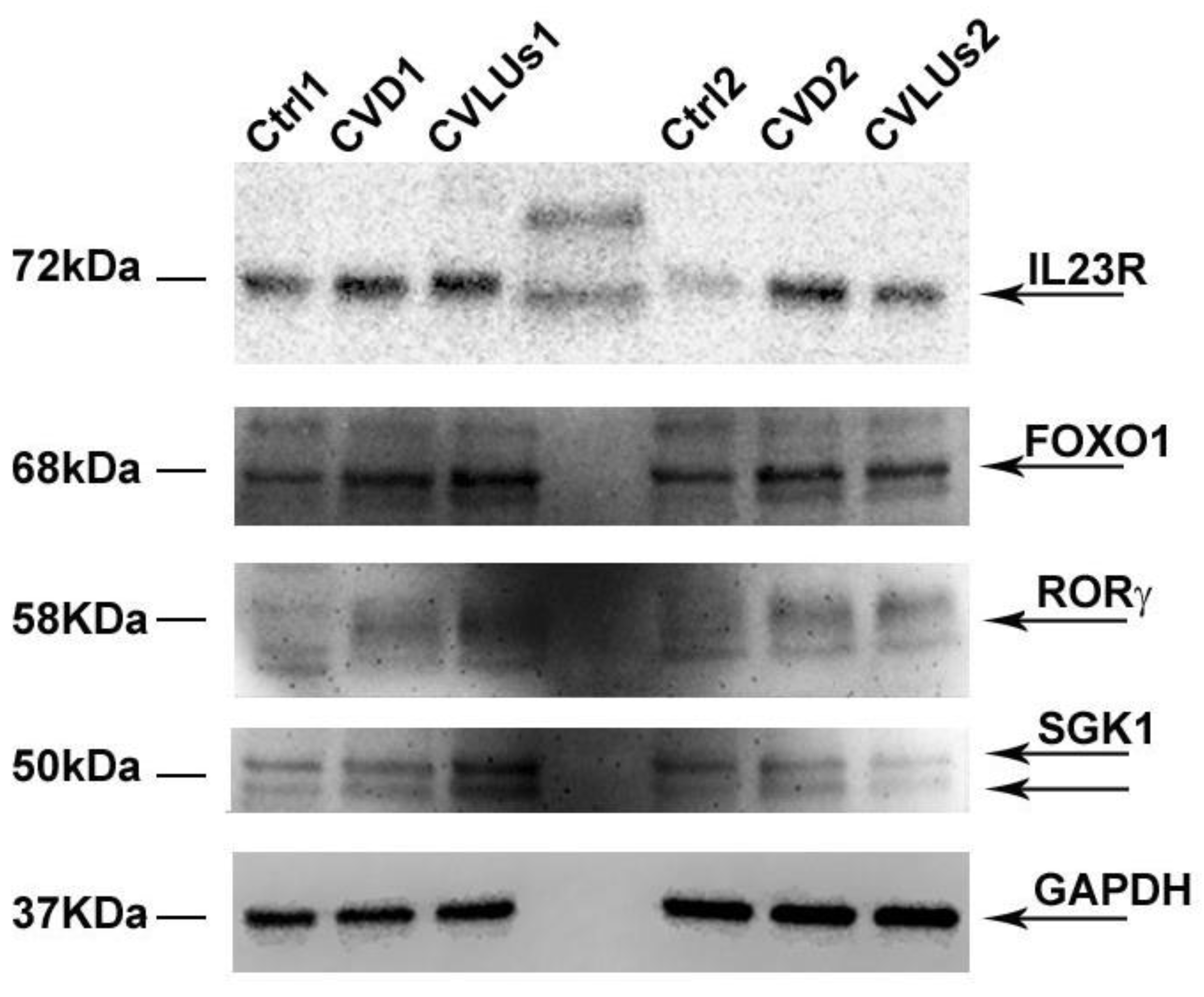 Biomolecules 12 00902 g002