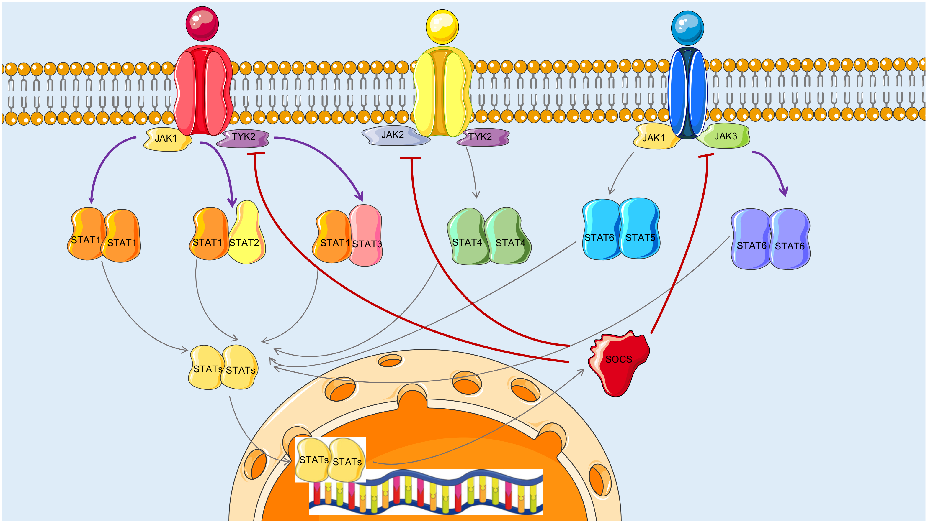 Biomolecules 12 00906 g003 550
