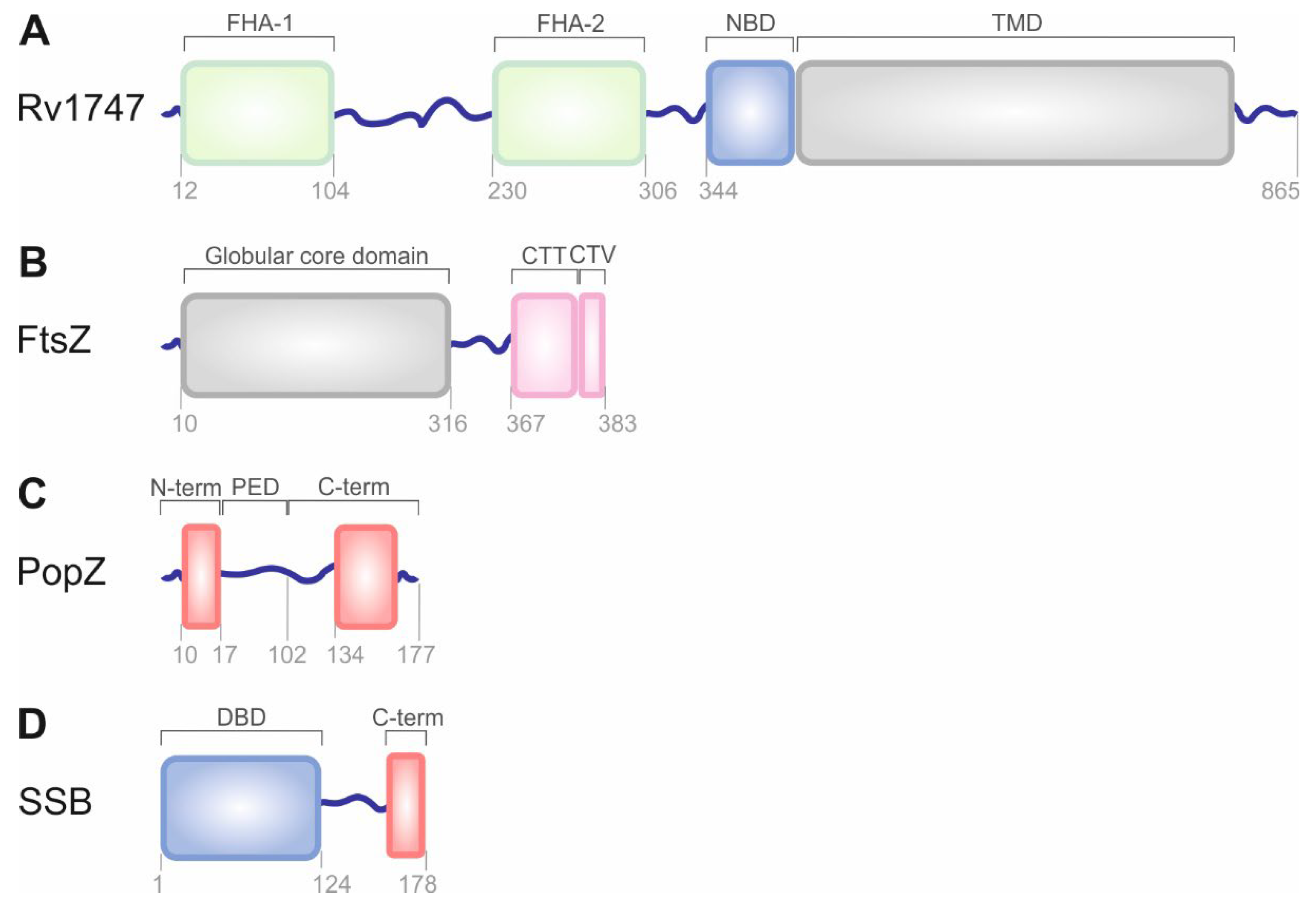Biomolecules 12 00907 g002 Biomolecules 12 00907 g002