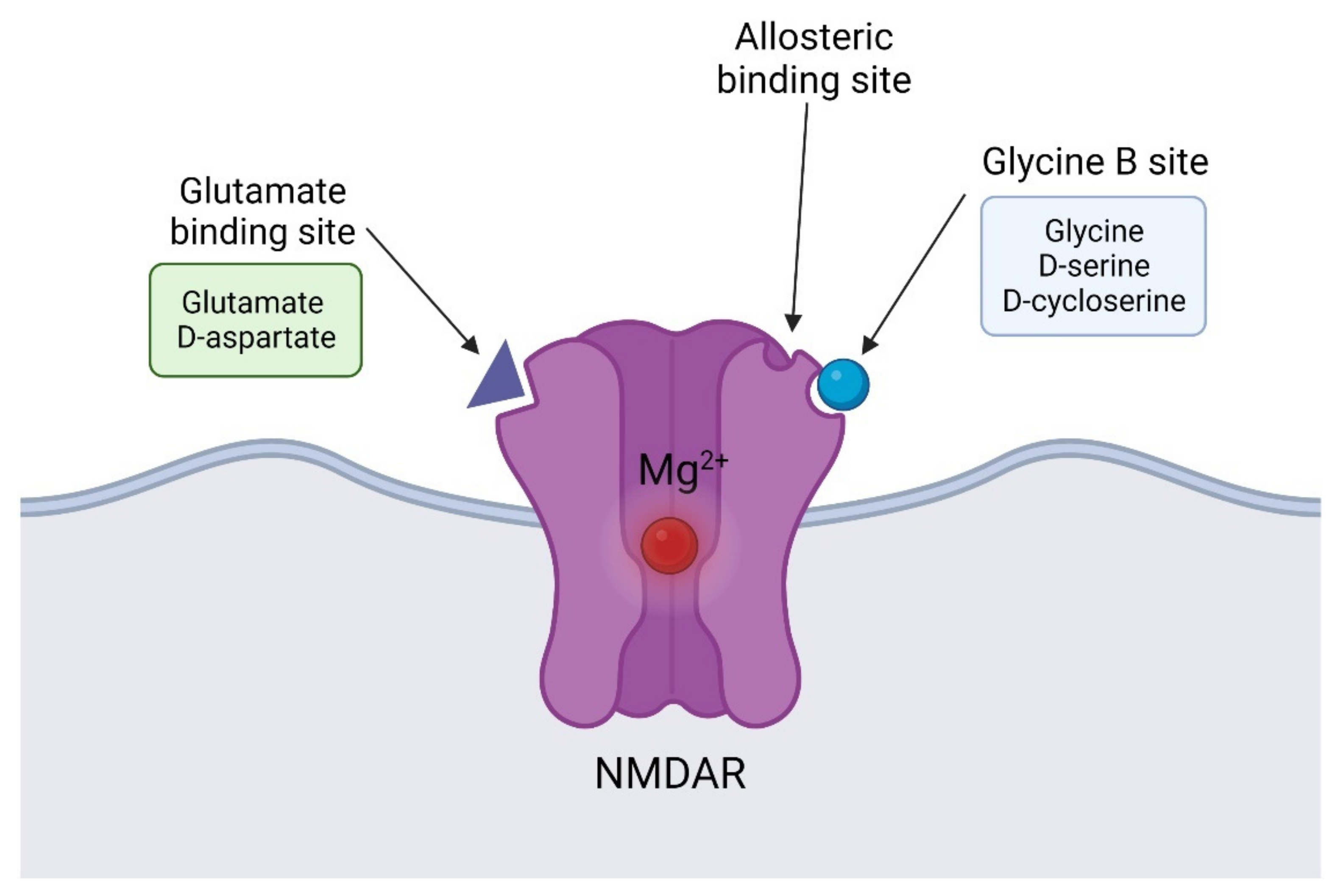 Biomolecules 12 00909 g002