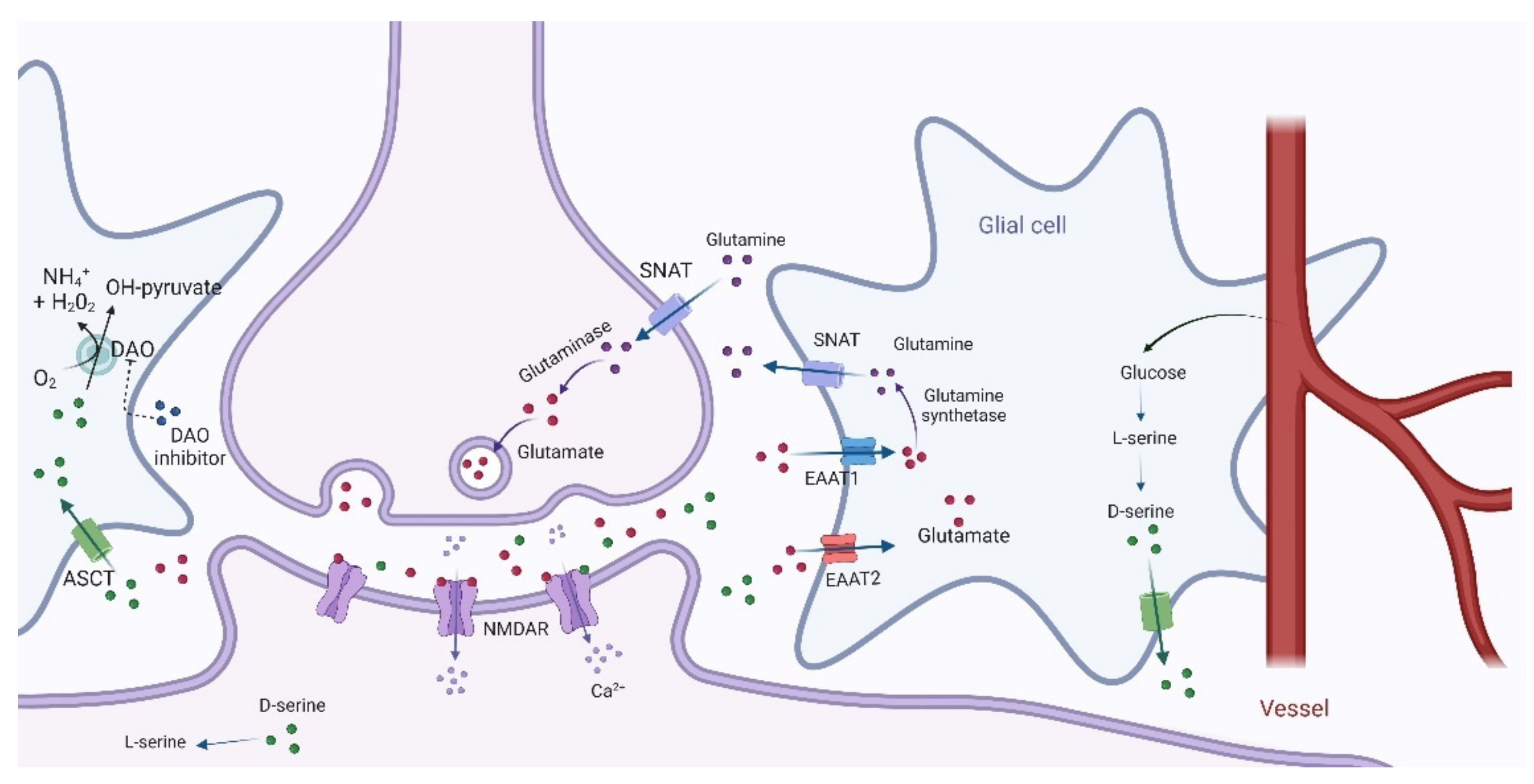 Biomolecules 12 00909 g003