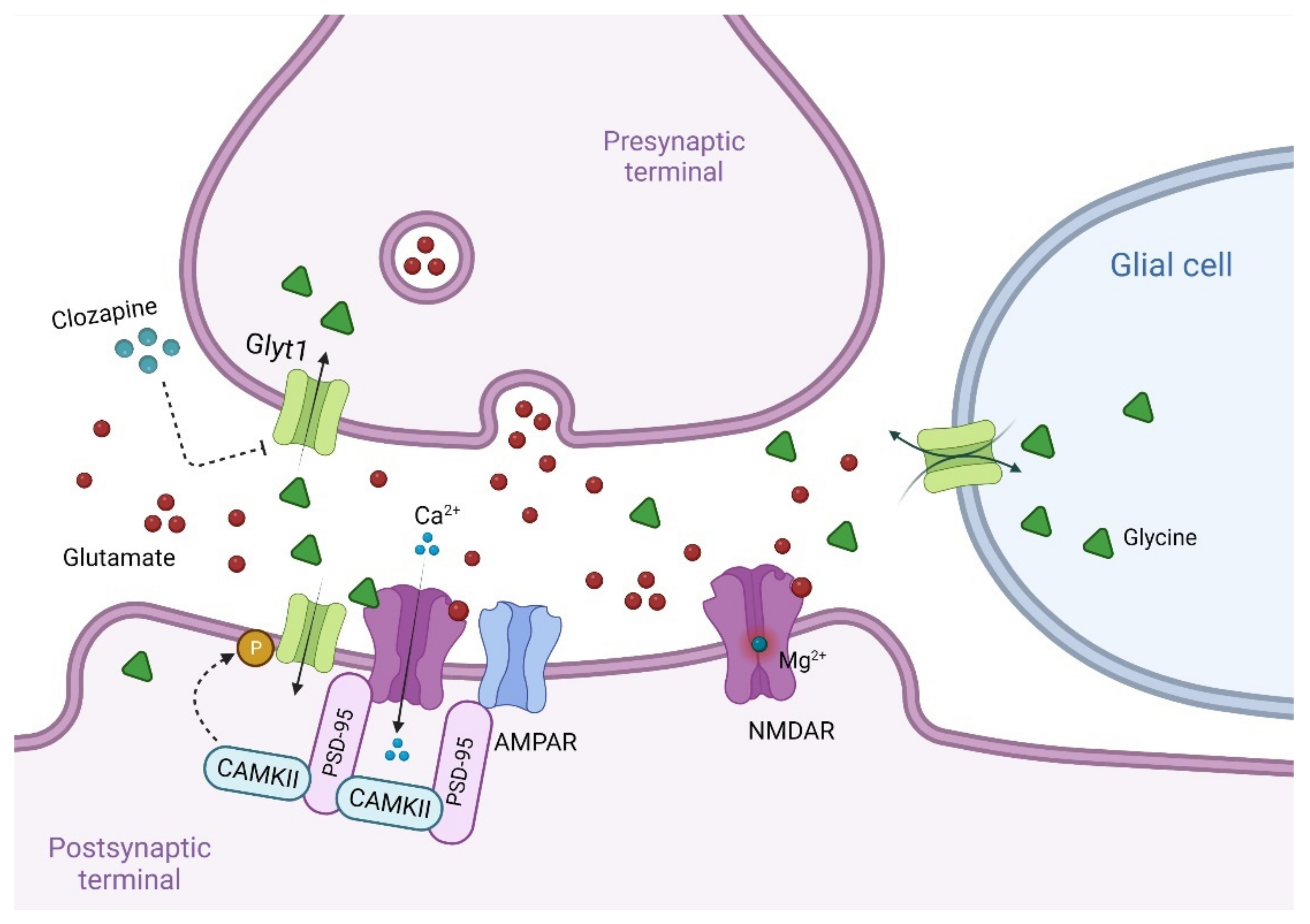 Biomolecules 12 00909 g004
