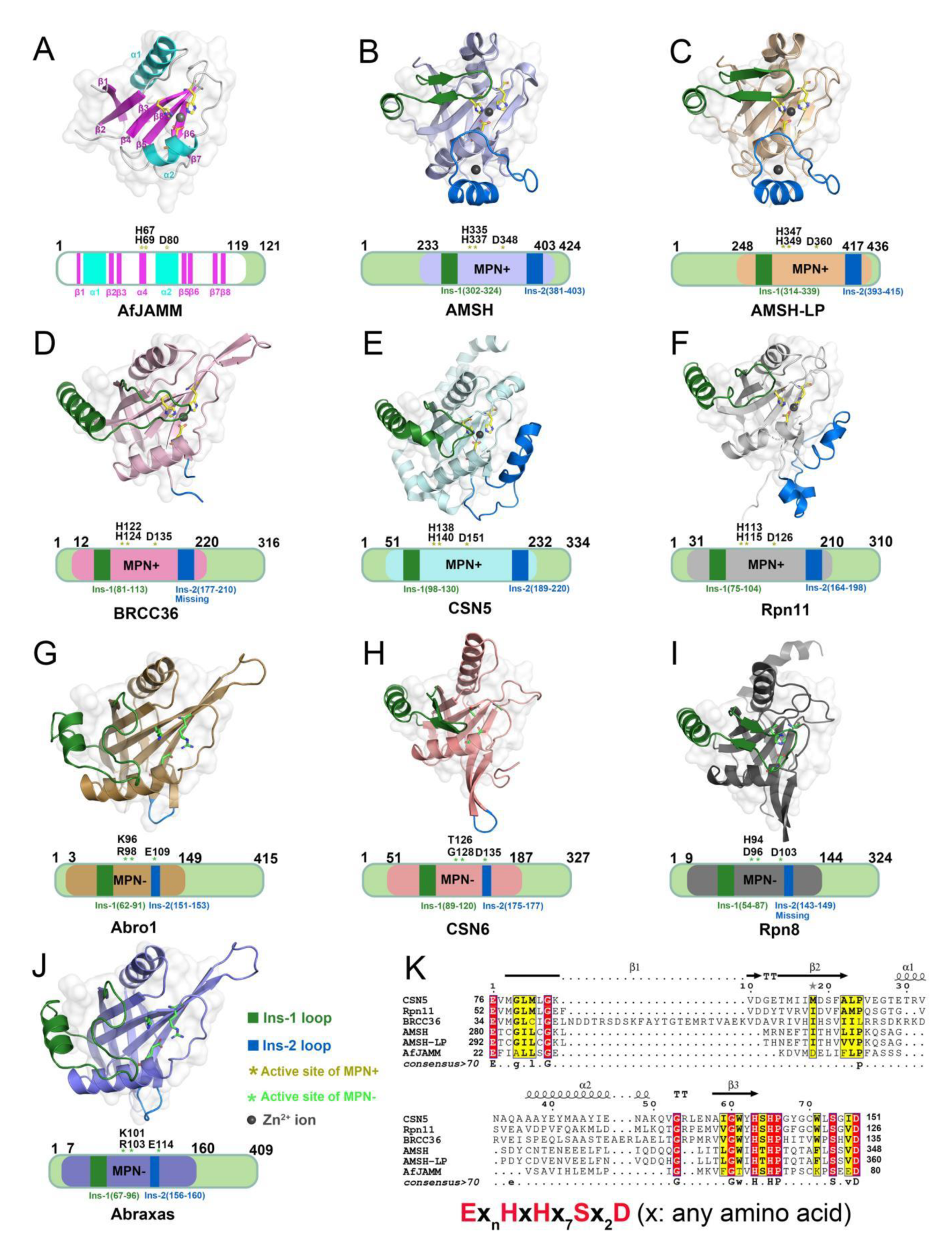 Biomolecules 12 00910 g002