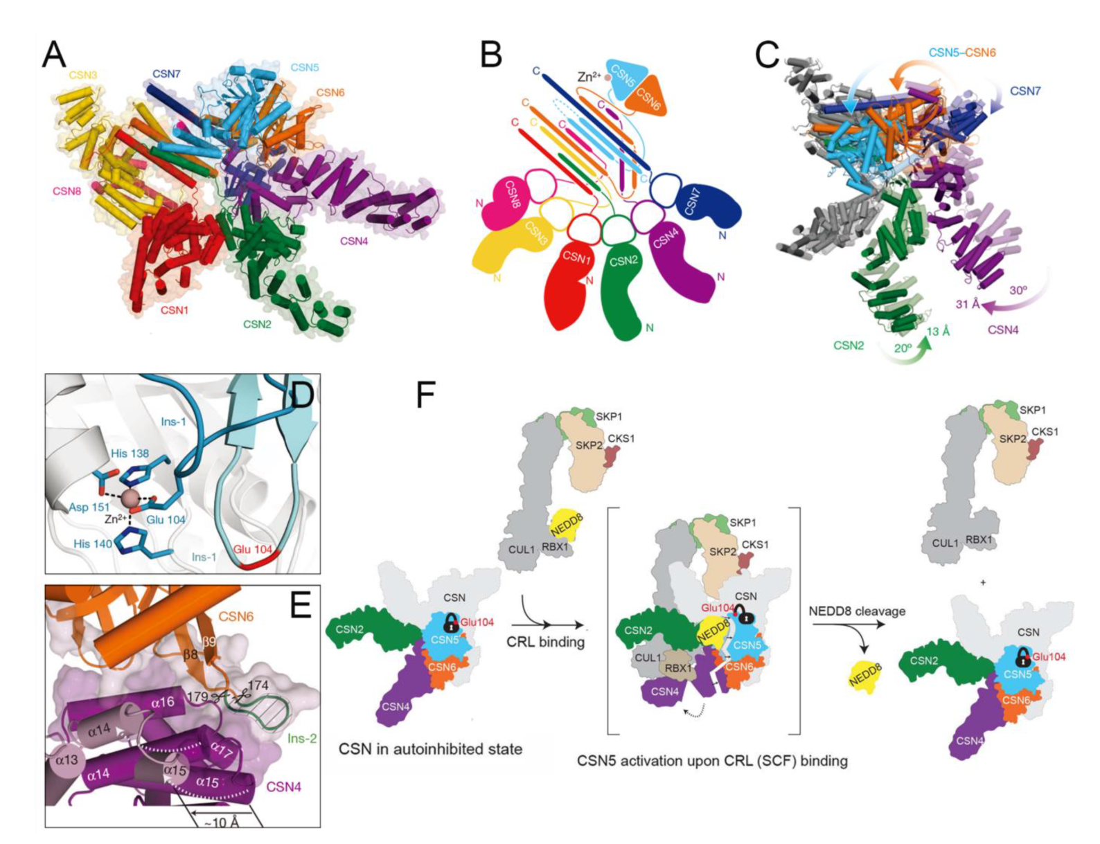 Biomolecules 12 00910 g007