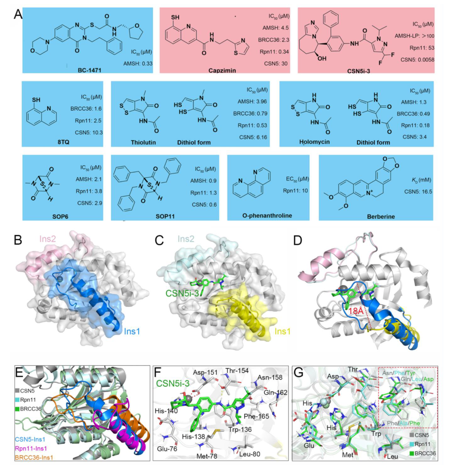 Biomolecules 12 00910 g008