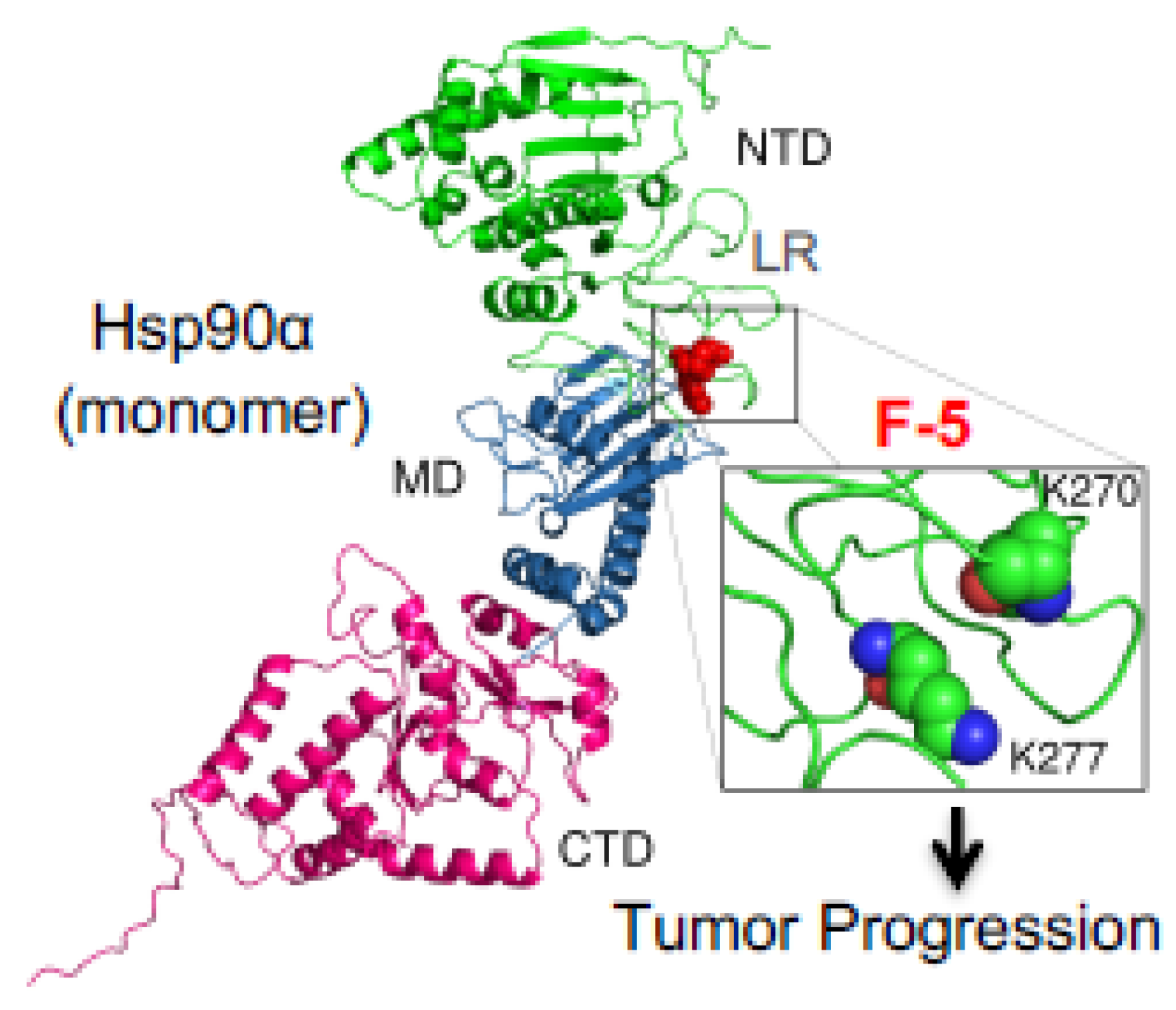 Biomolecules 12 00911 g003 Biomolecules 12 00911 g003