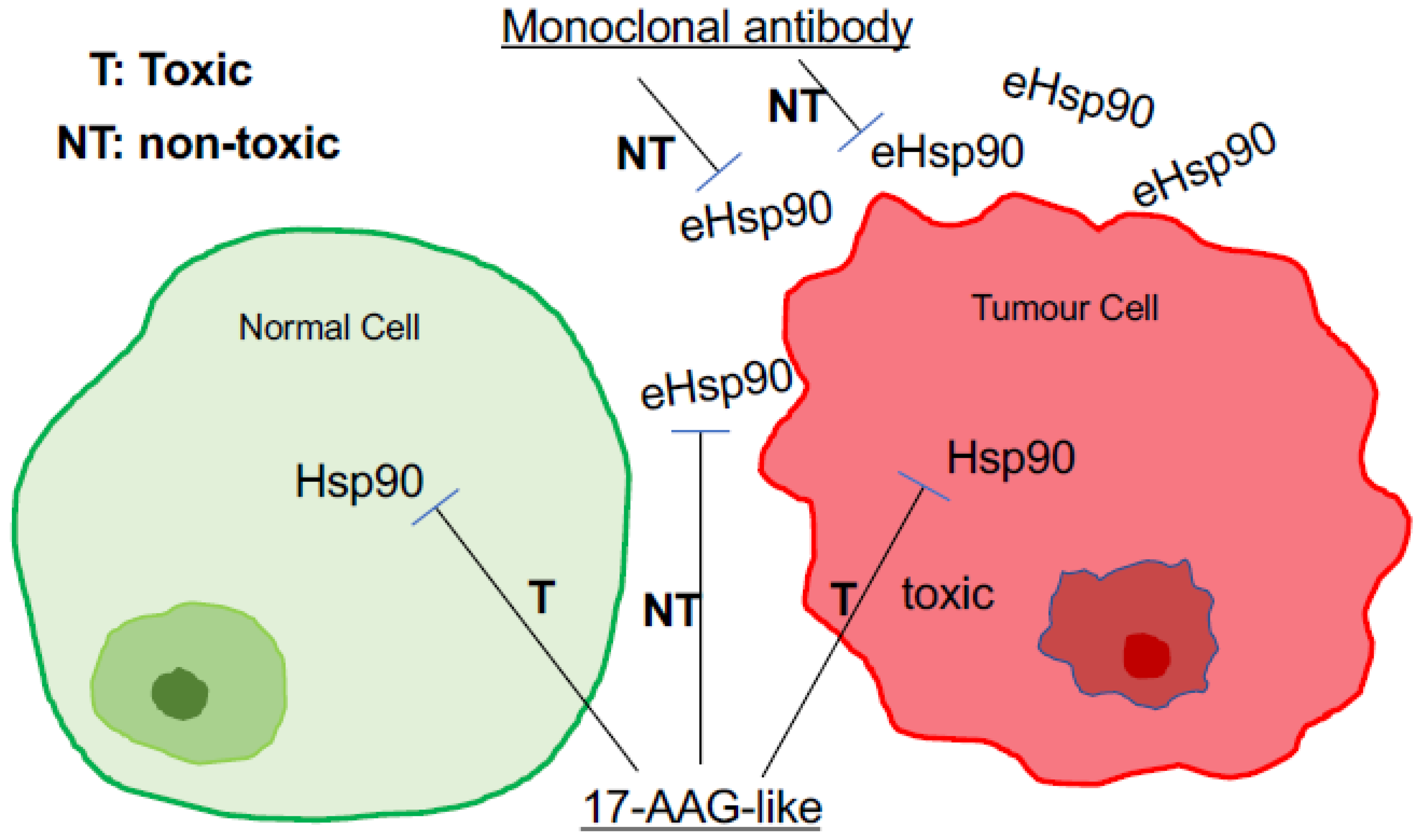 Biomolecules 12 00911 g006 Biomolecules 12 00911 g006