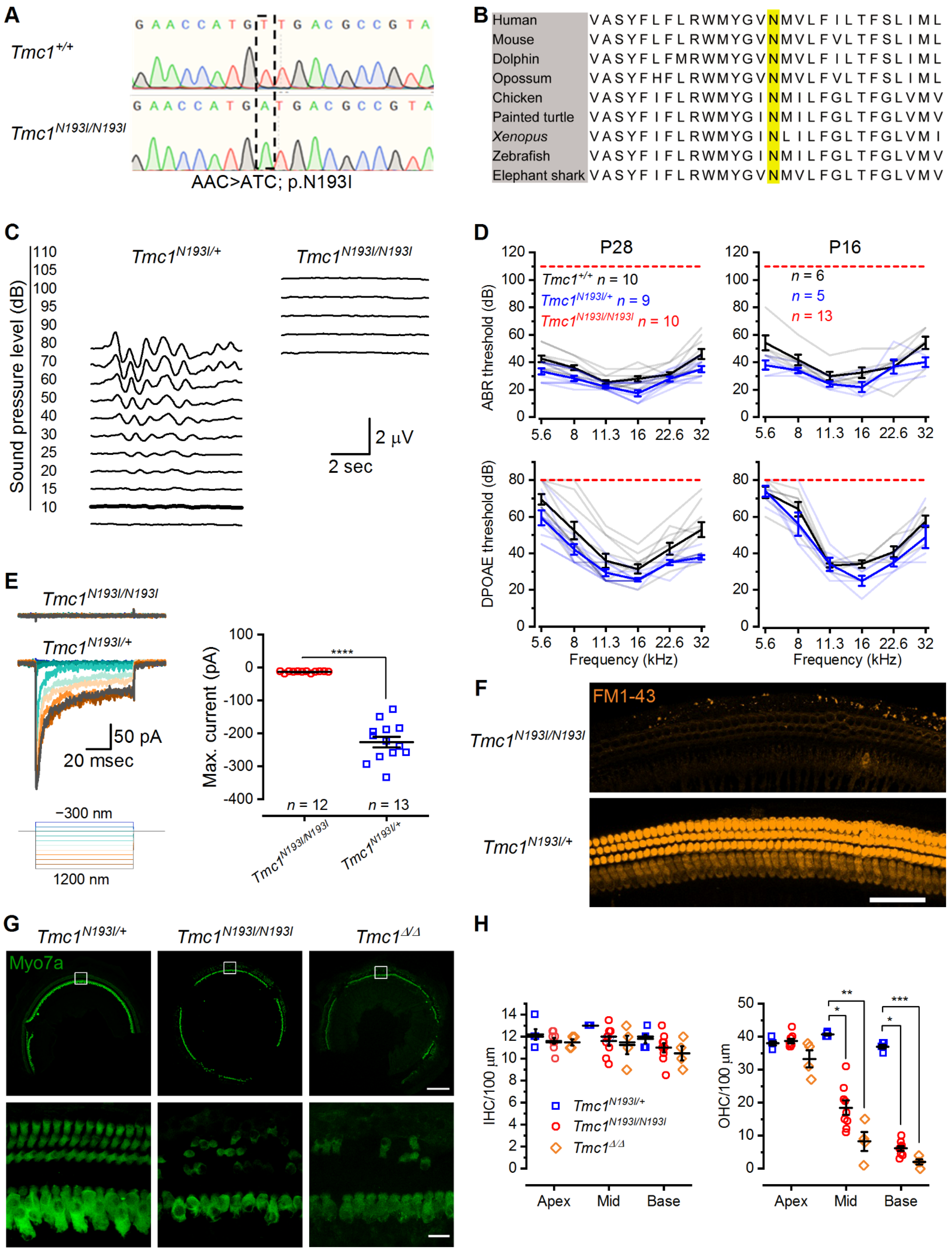 Biomolecules 12 00914 g001 550