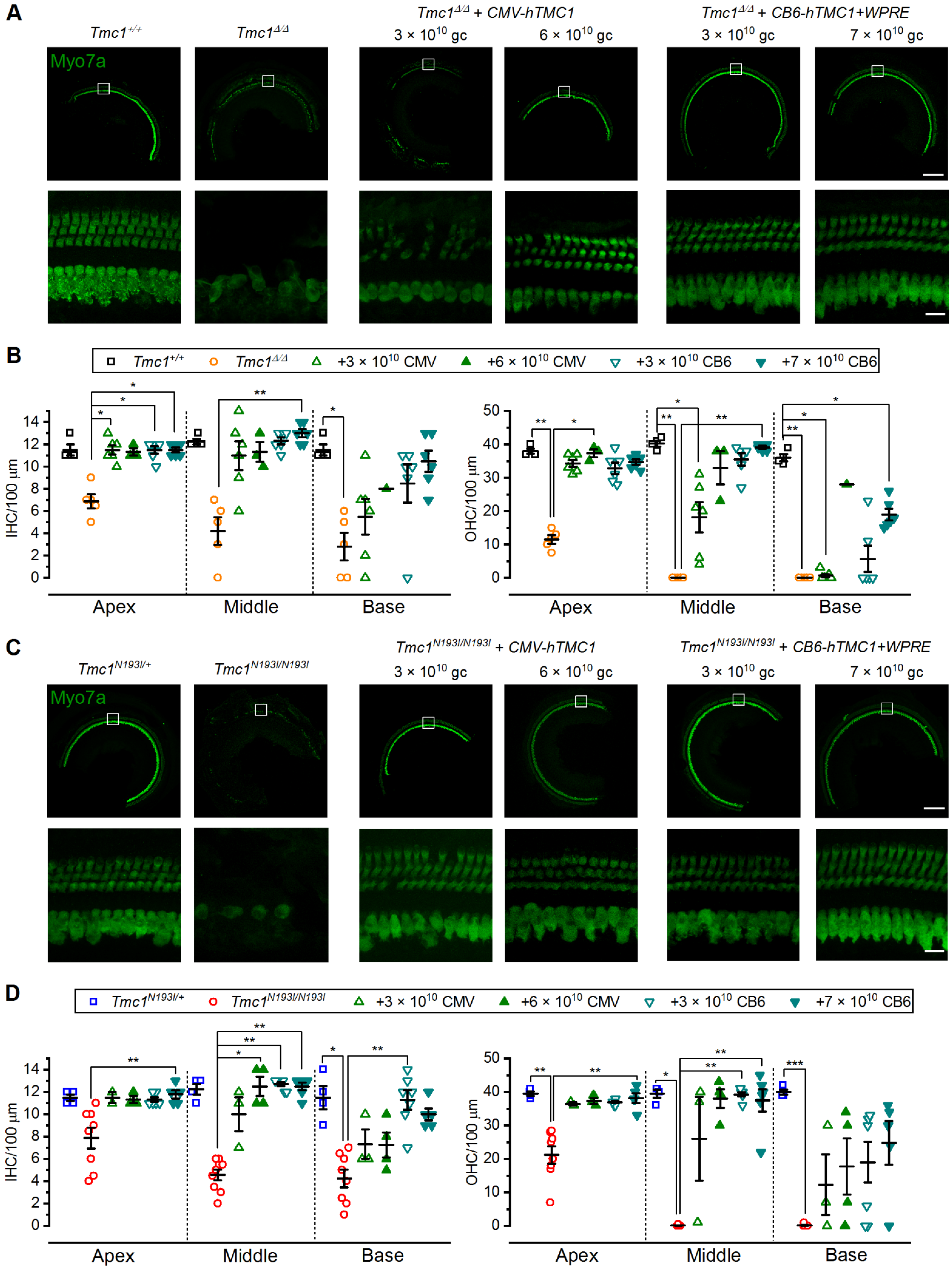Biomolecules 12 00914 g005 550