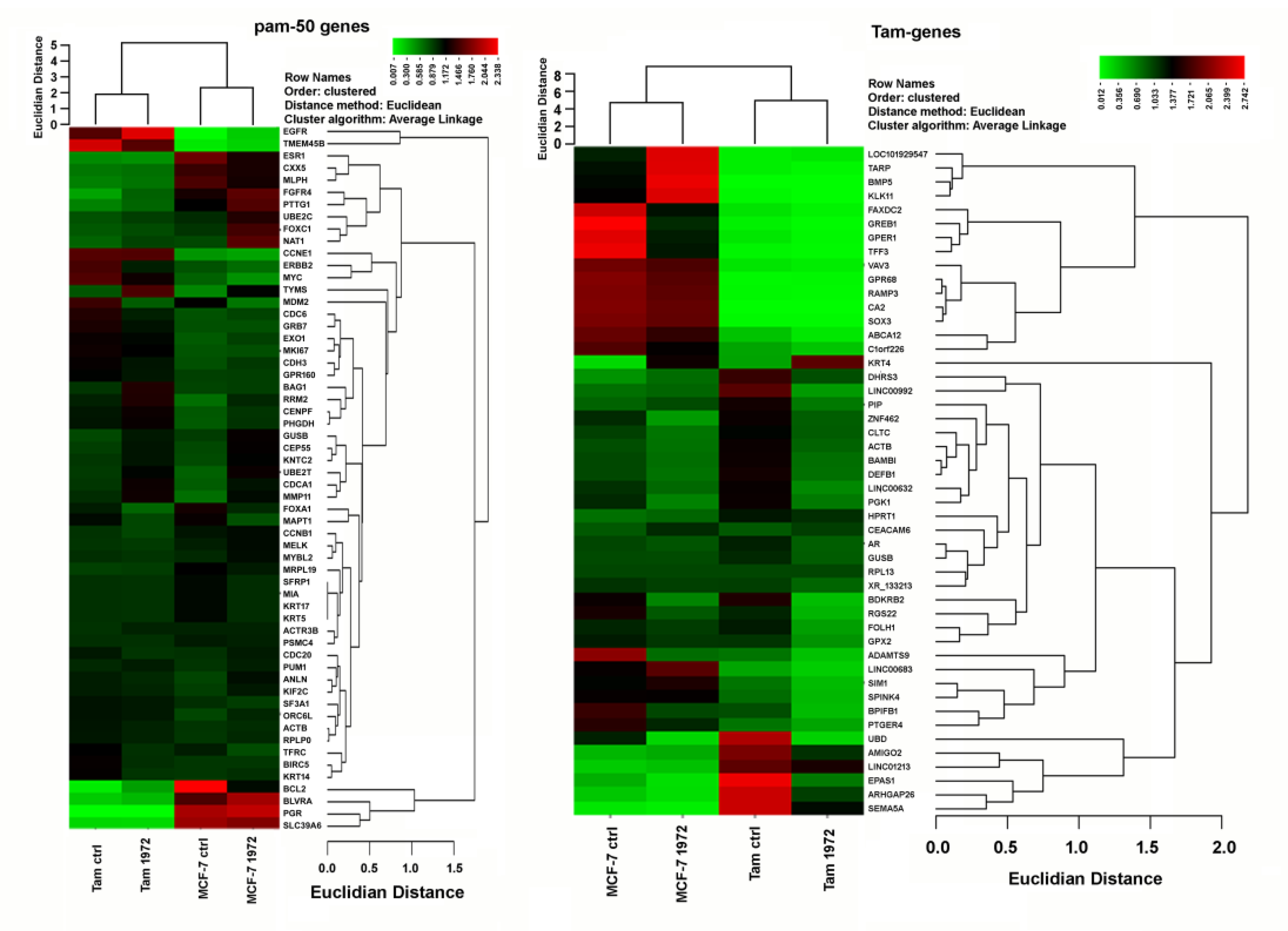 Biomolecules 12 00916 g003