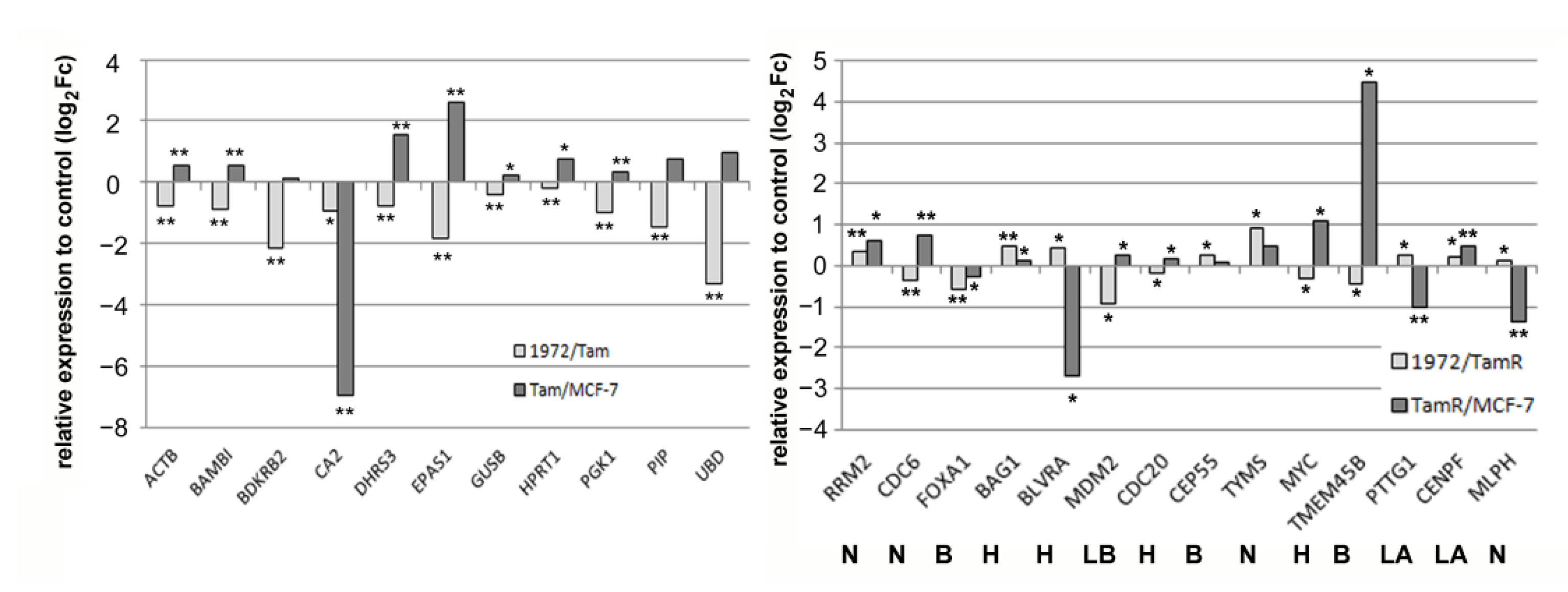Biomolecules 12 00916 g004