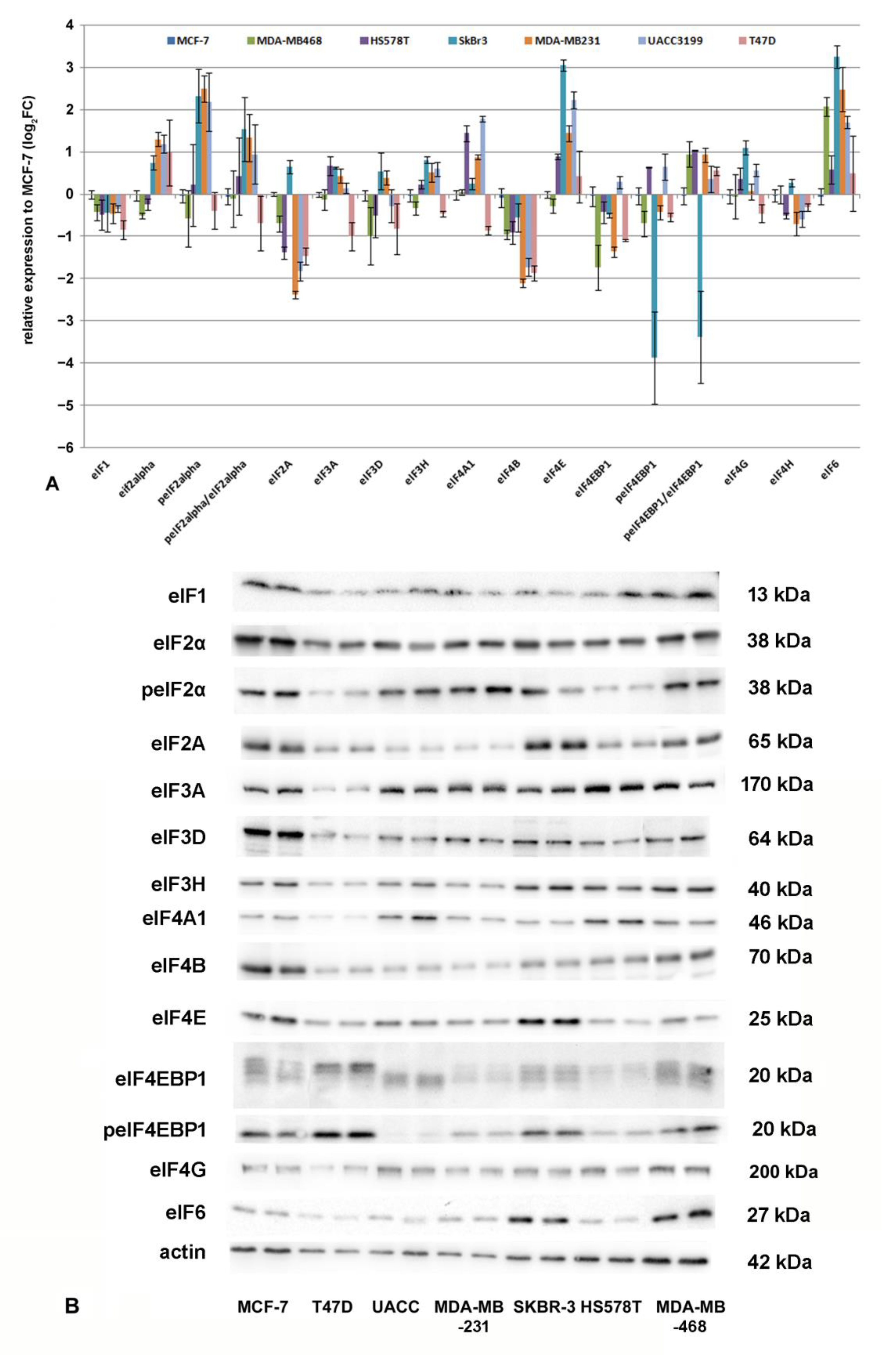 Biomolecules 12 00916 g006