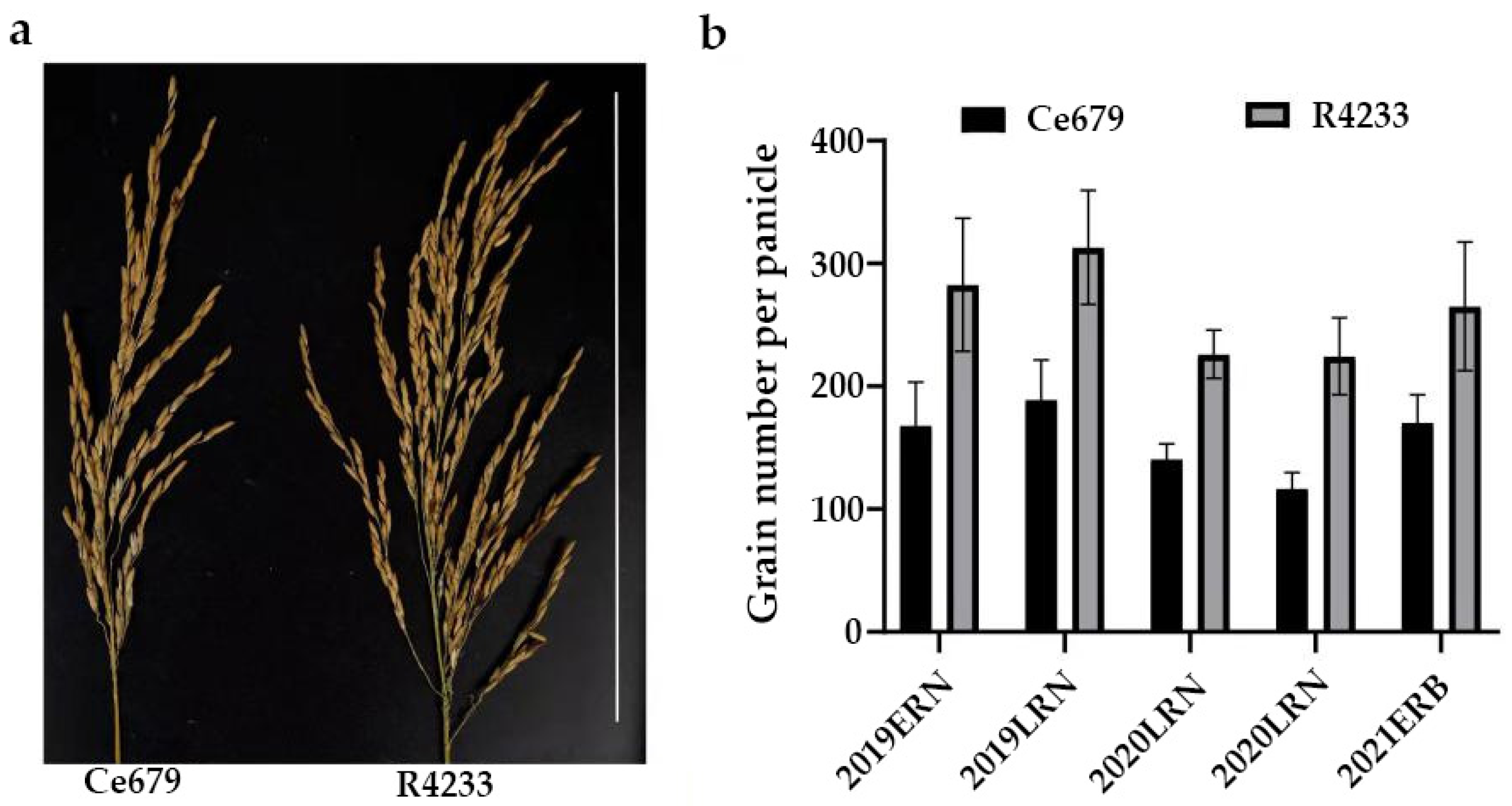 Biomolecules 12 00918 g001