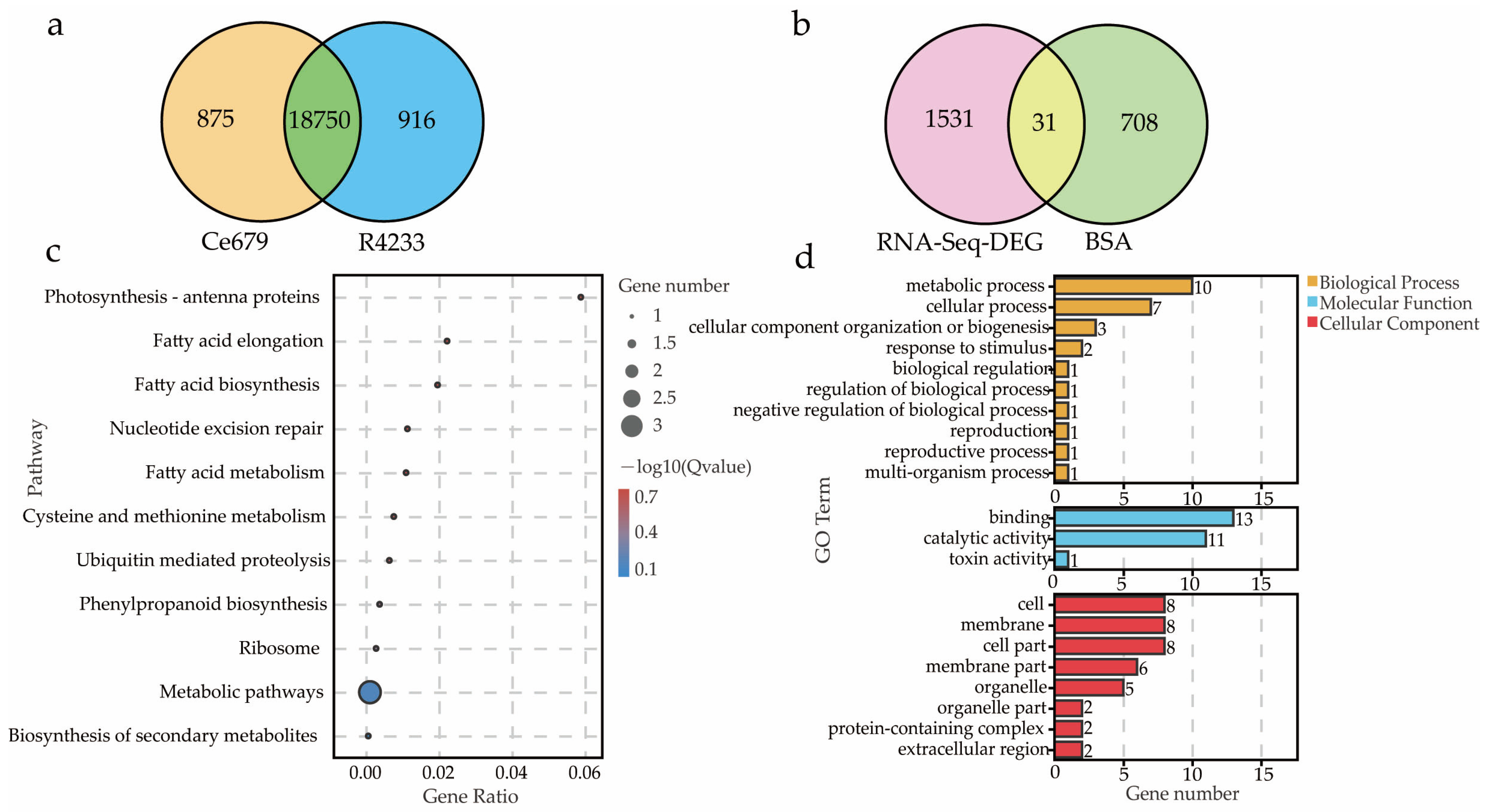 Biomolecules 12 00918 g005