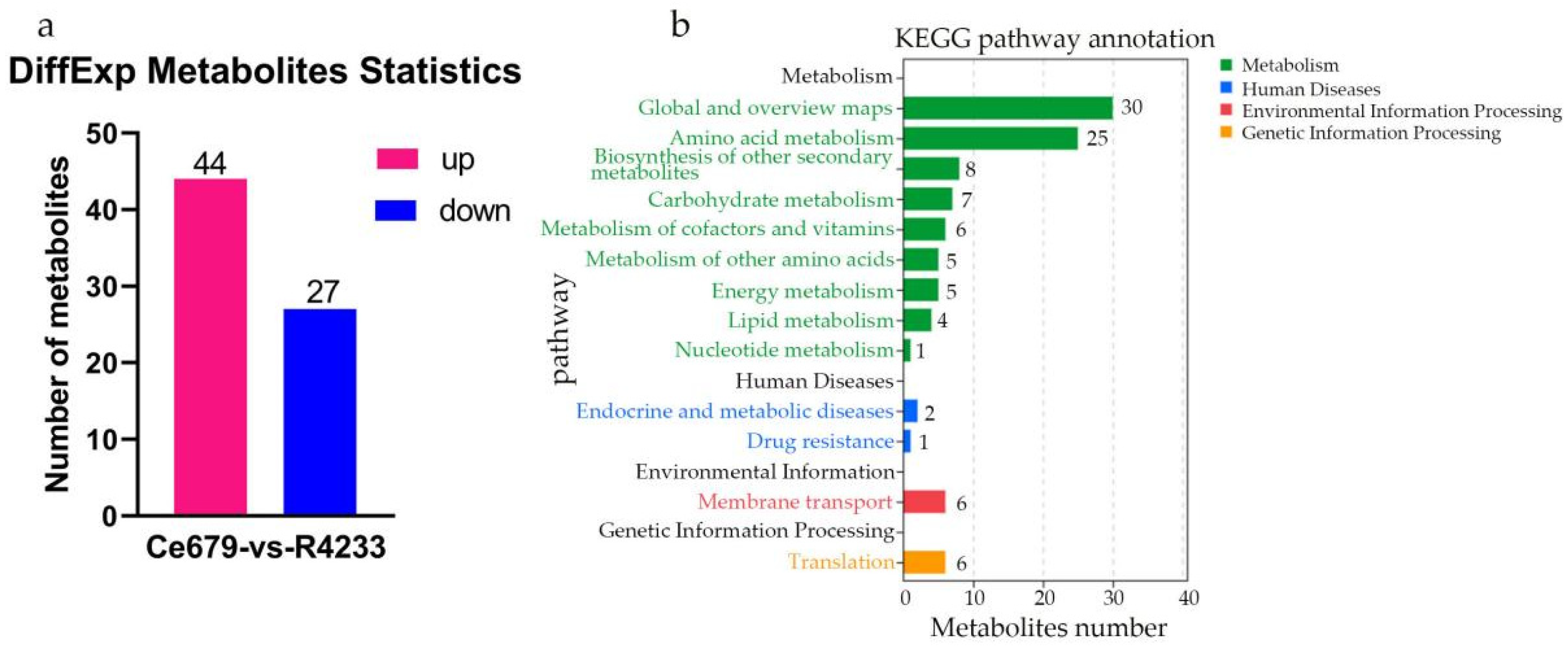 Biomolecules 12 00918 g008