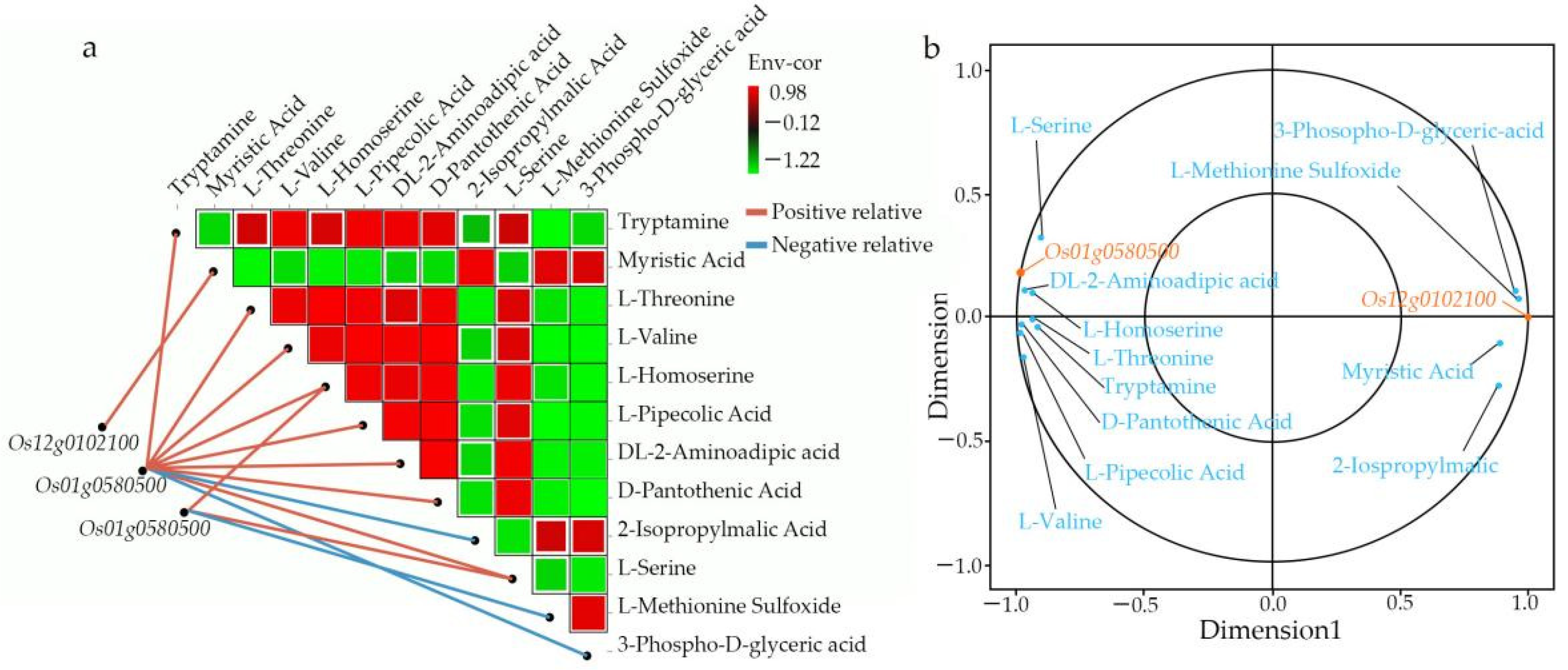 Biomolecules 12 00918 g013