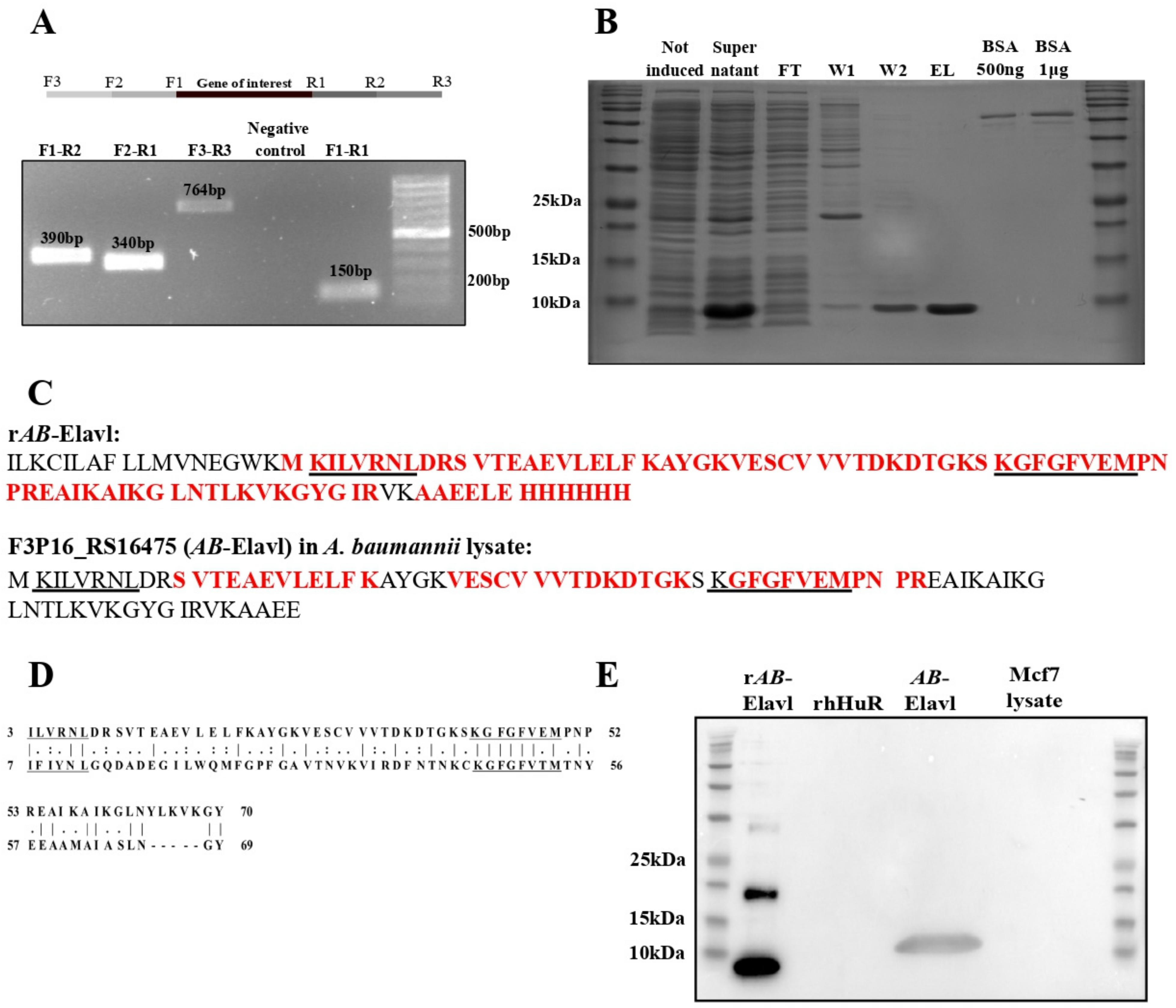 Biomolecules 12 00922 g002