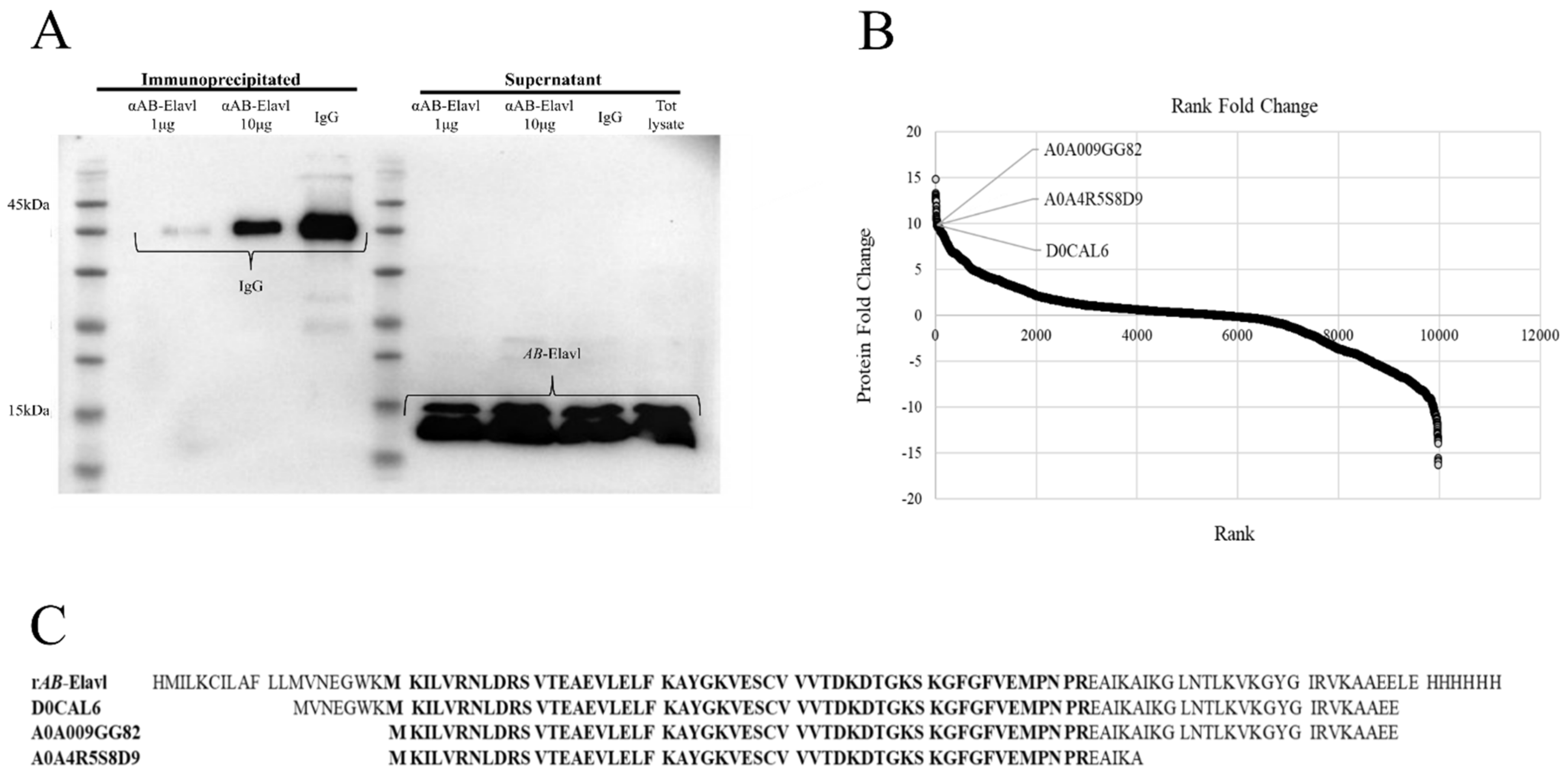 Biomolecules 12 00922 g003