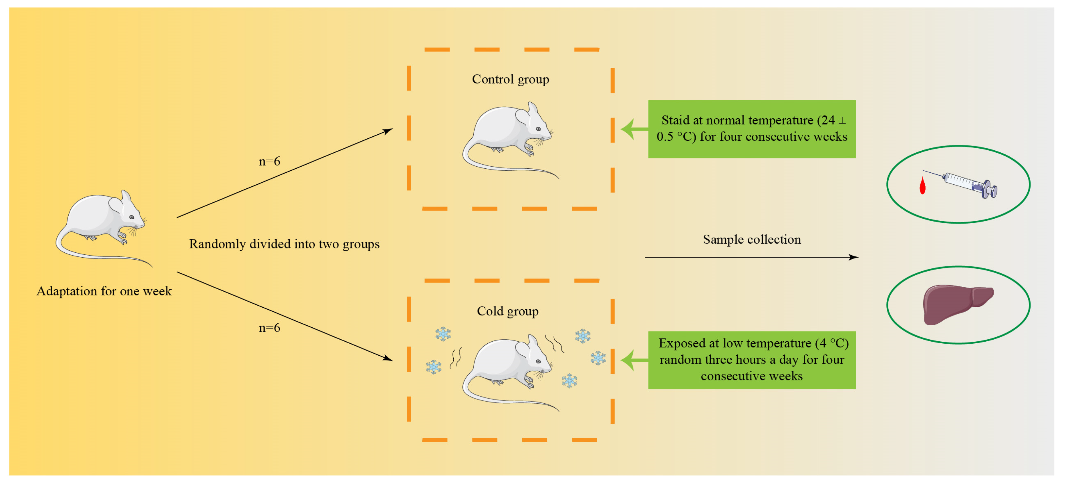 Biomolecules 12 00927 g001