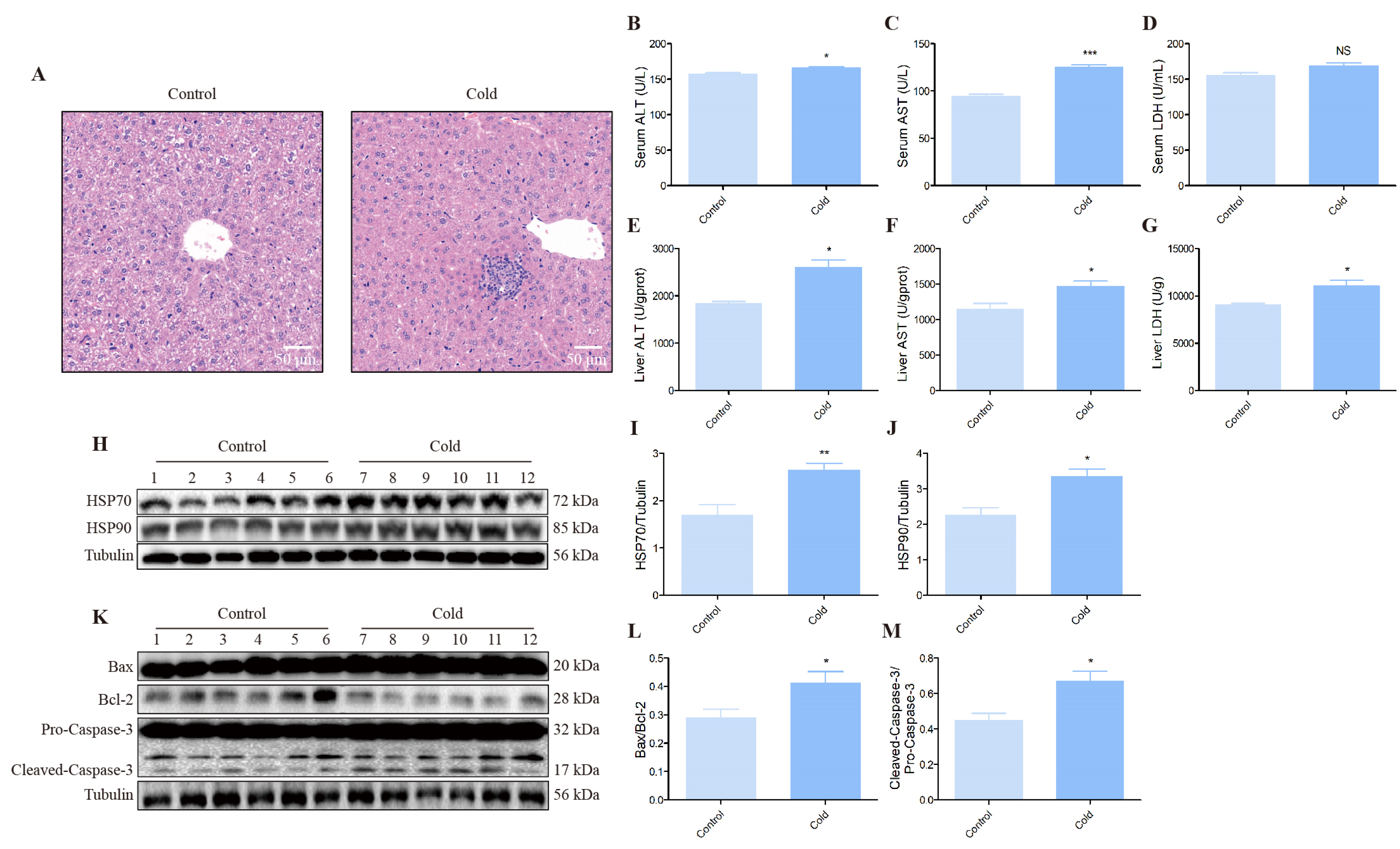 Biomolecules 12 00927 g002