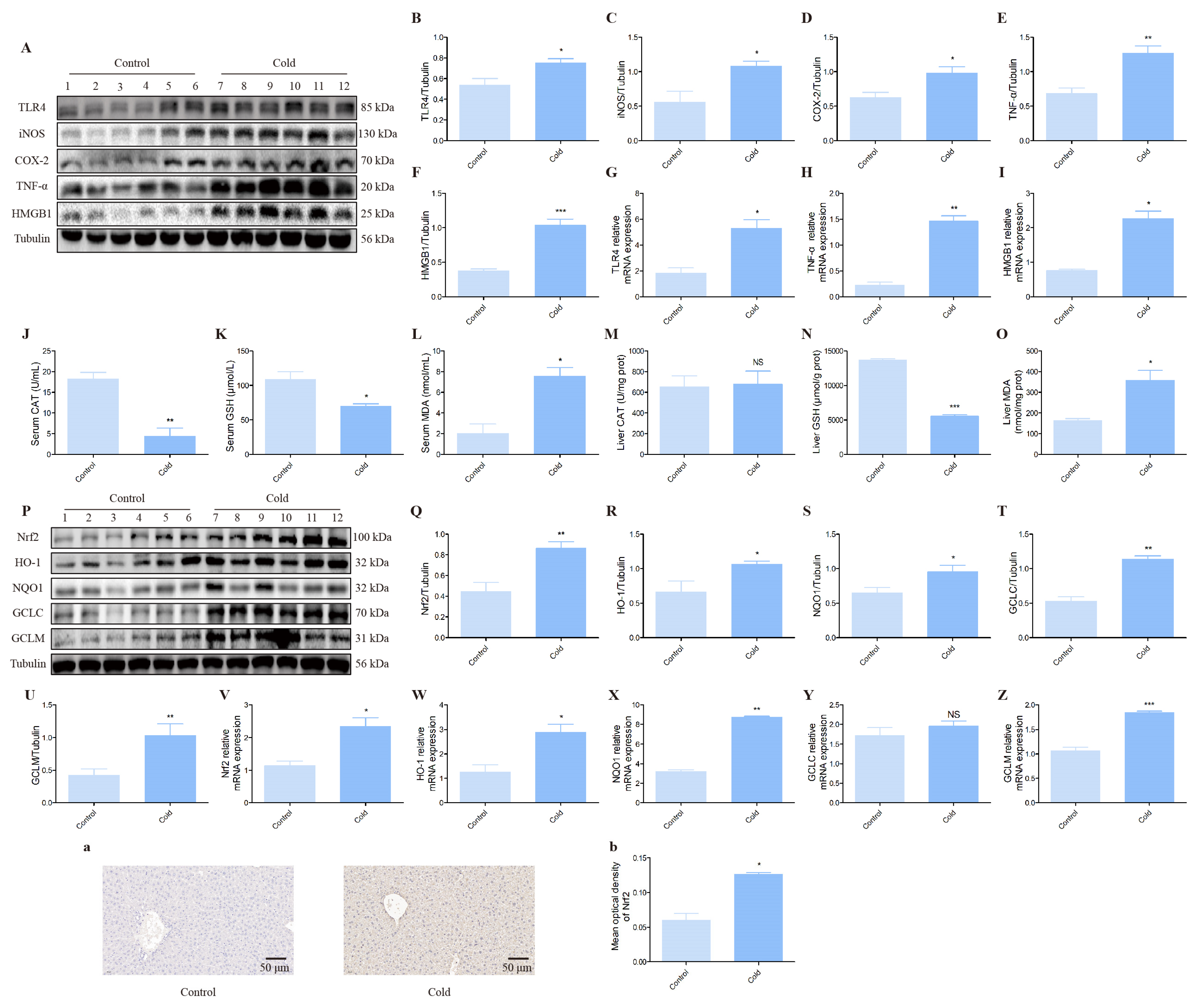 Biomolecules 12 00927 g003