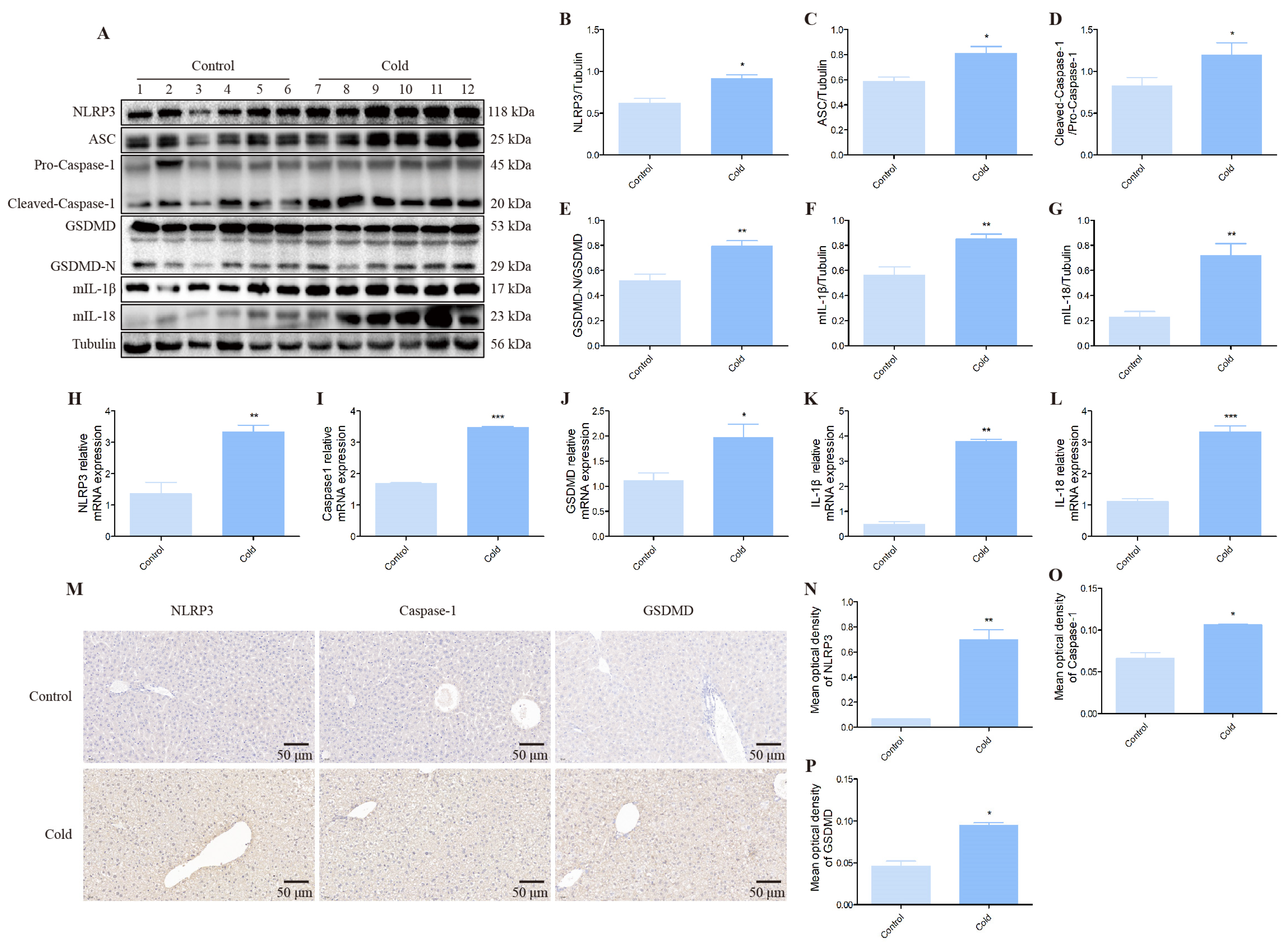 Biomolecules 12 00927 g004