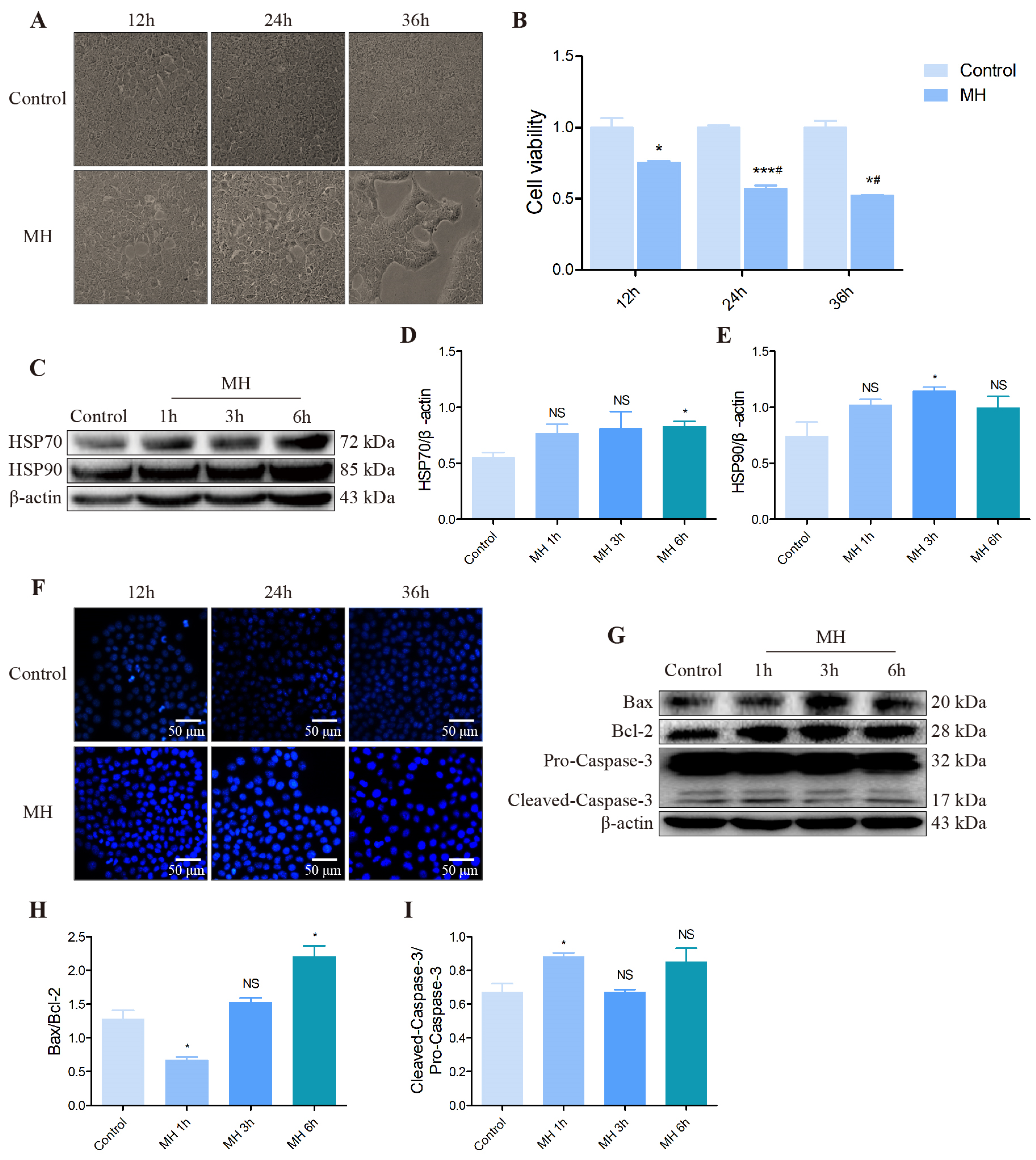 Biomolecules 12 00927 g005