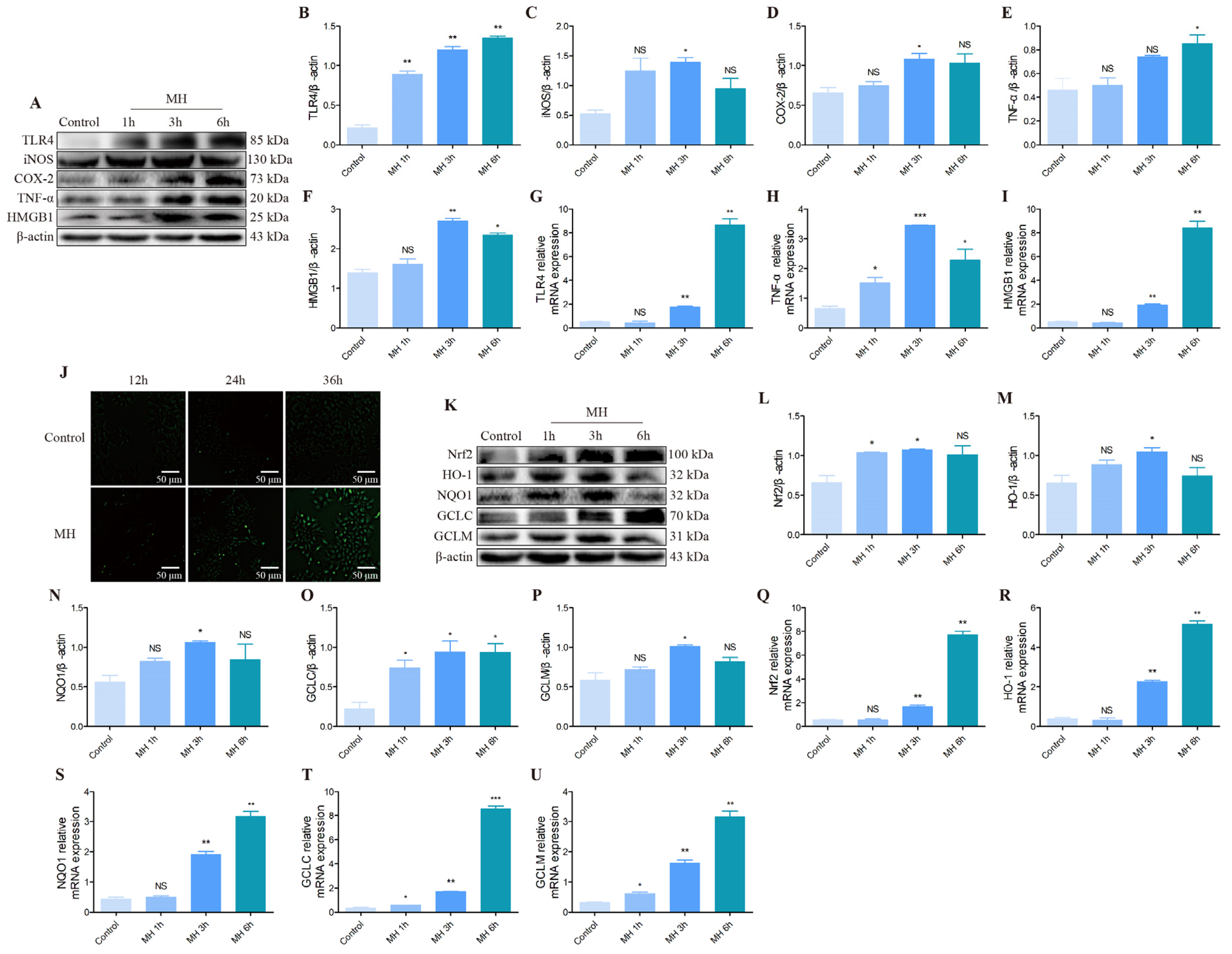 Biomolecules 12 00927 g006