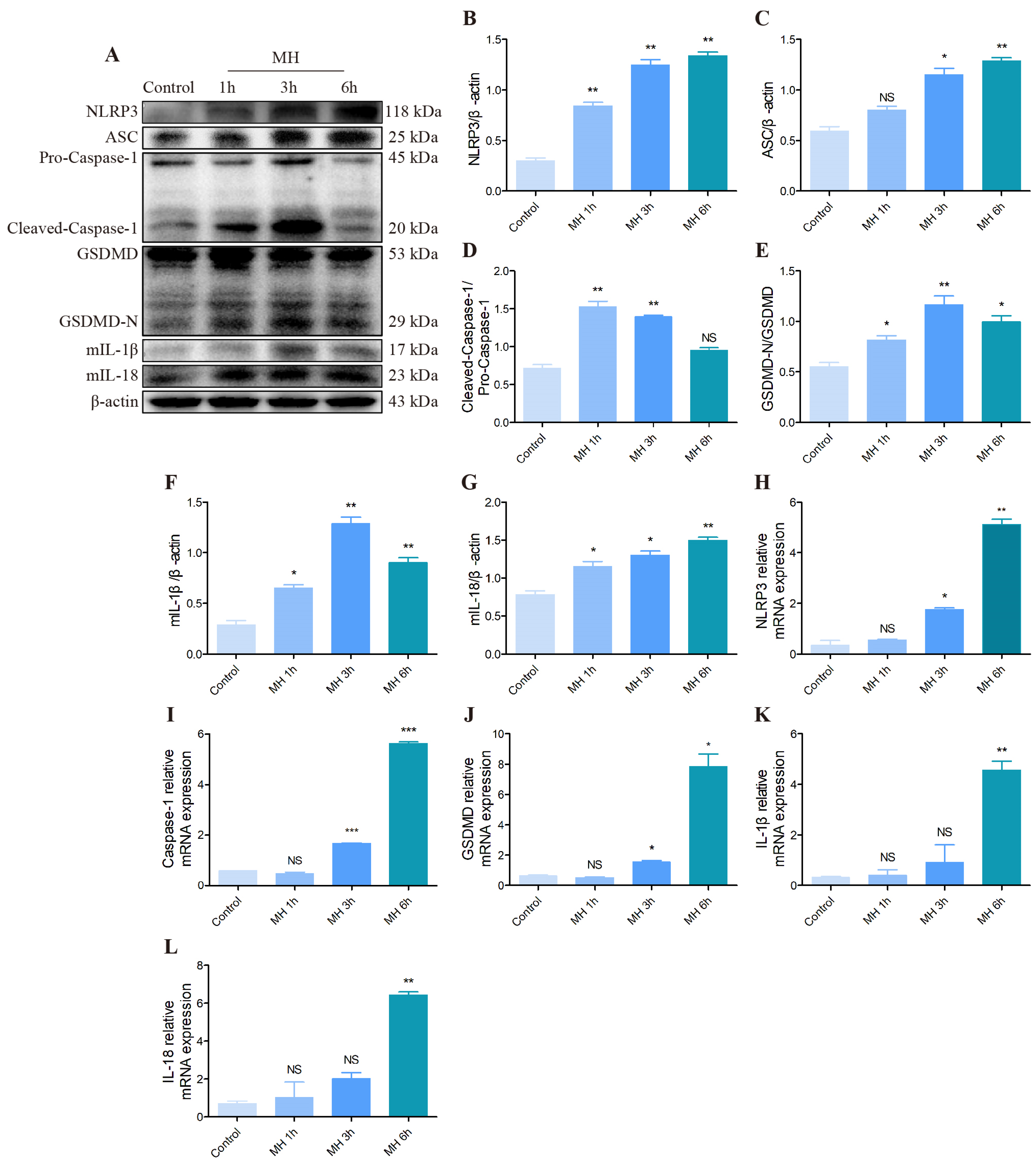Biomolecules 12 00927 g007